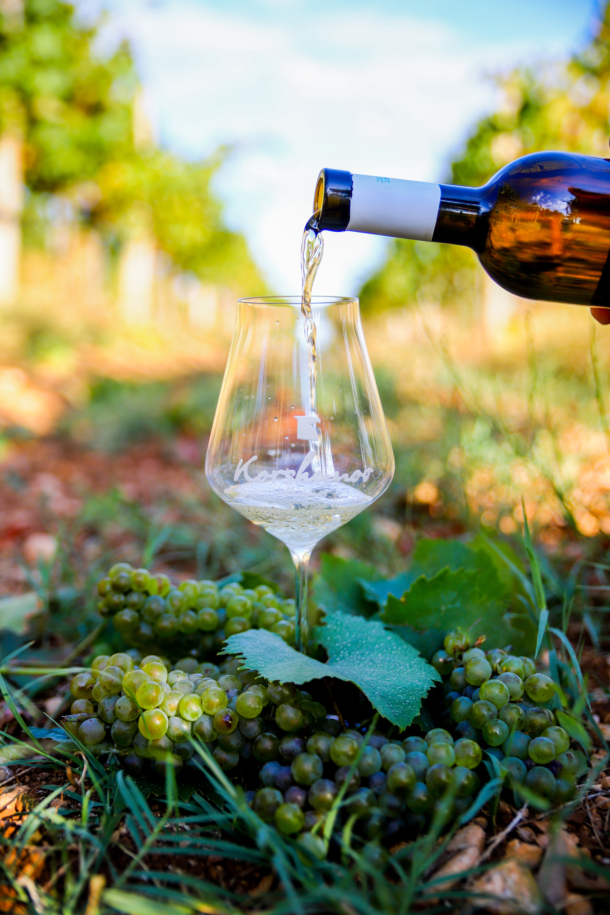 Бизнес. Самый Добрый Фотограф Краснодара