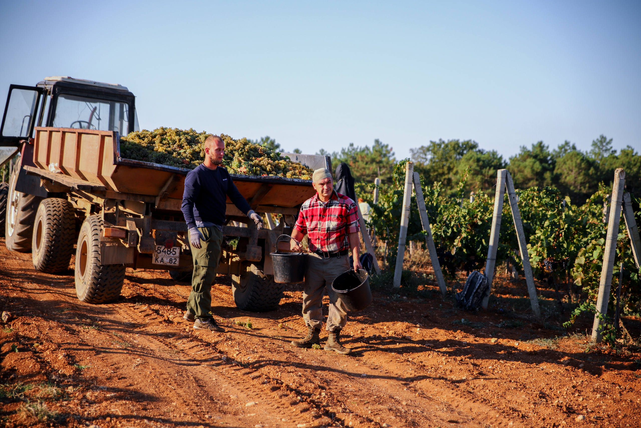 Бизнес. Самый Добрый Фотограф Краснодара
