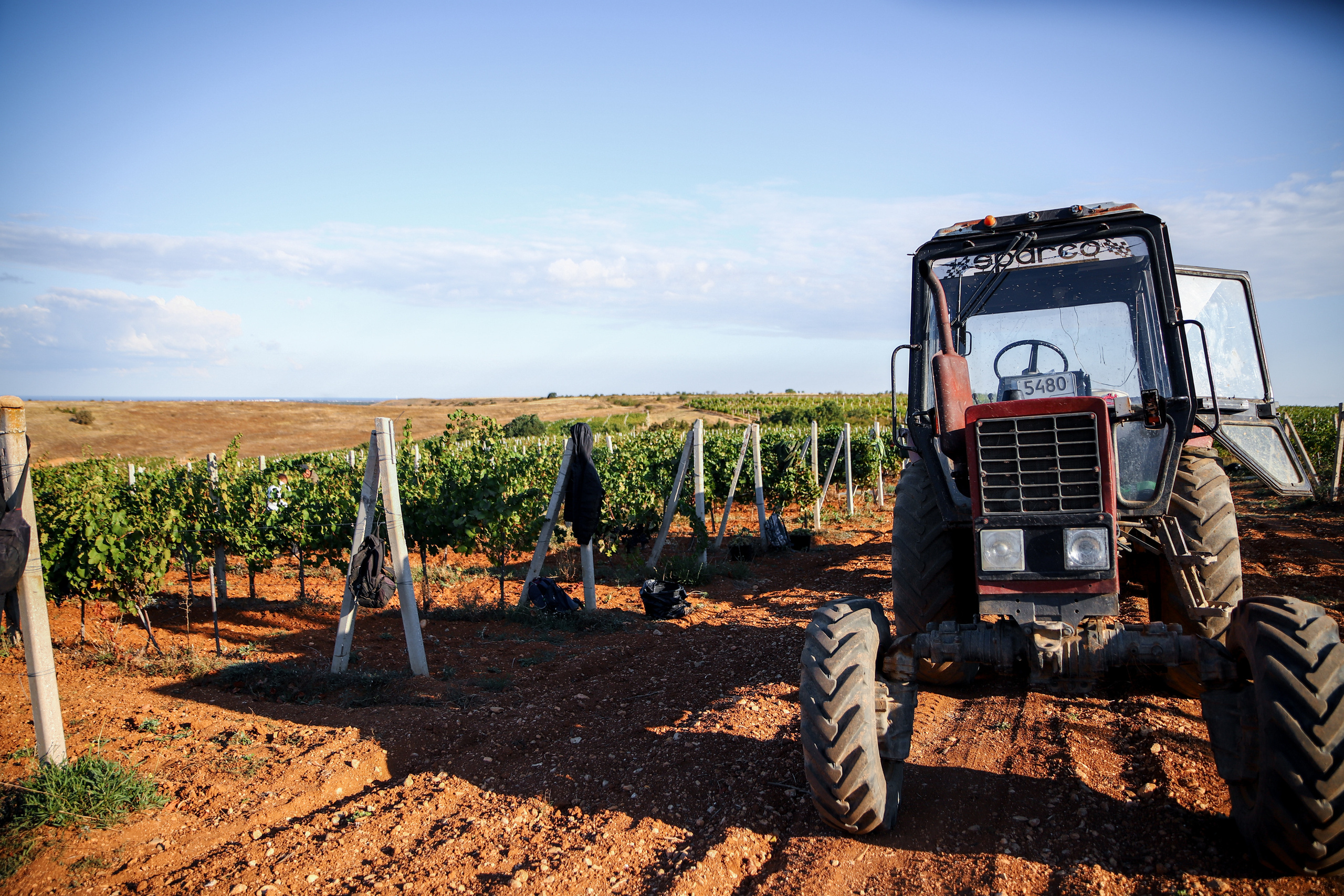 Бизнес. Самый Добрый Фотограф Краснодара