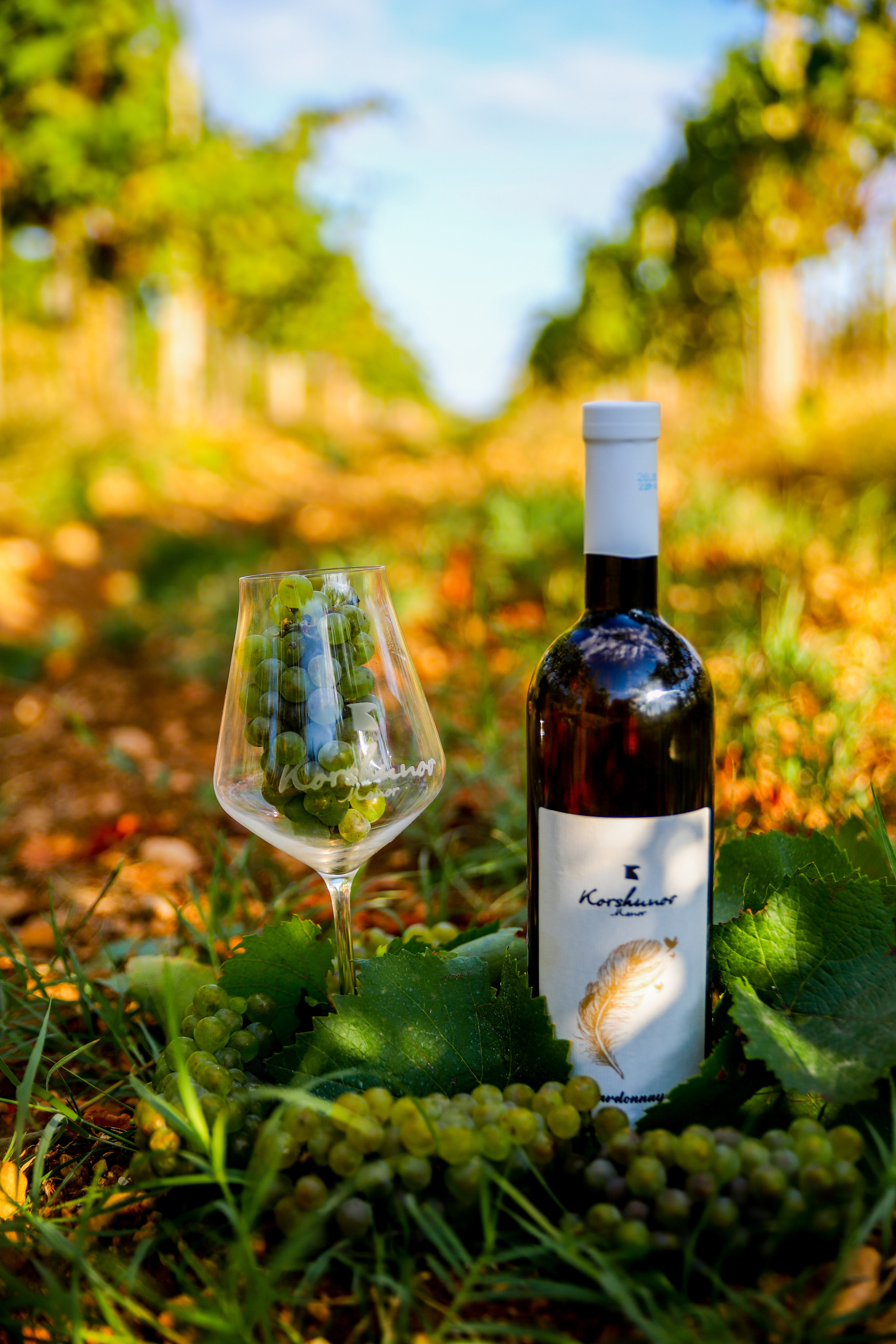 Бизнес. Самый Добрый Фотограф Краснодара