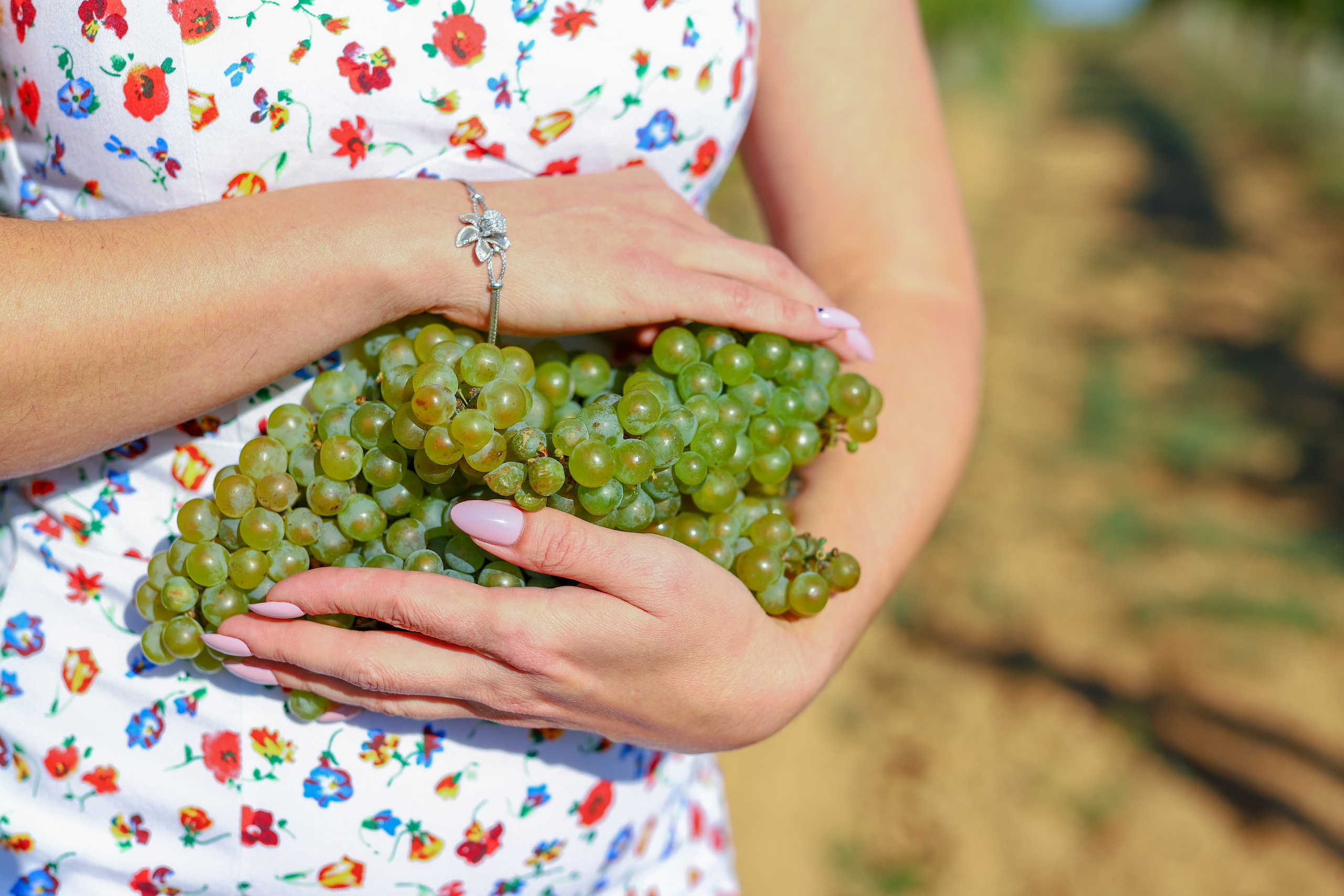 Бизнес. Самый Добрый Фотограф Краснодара