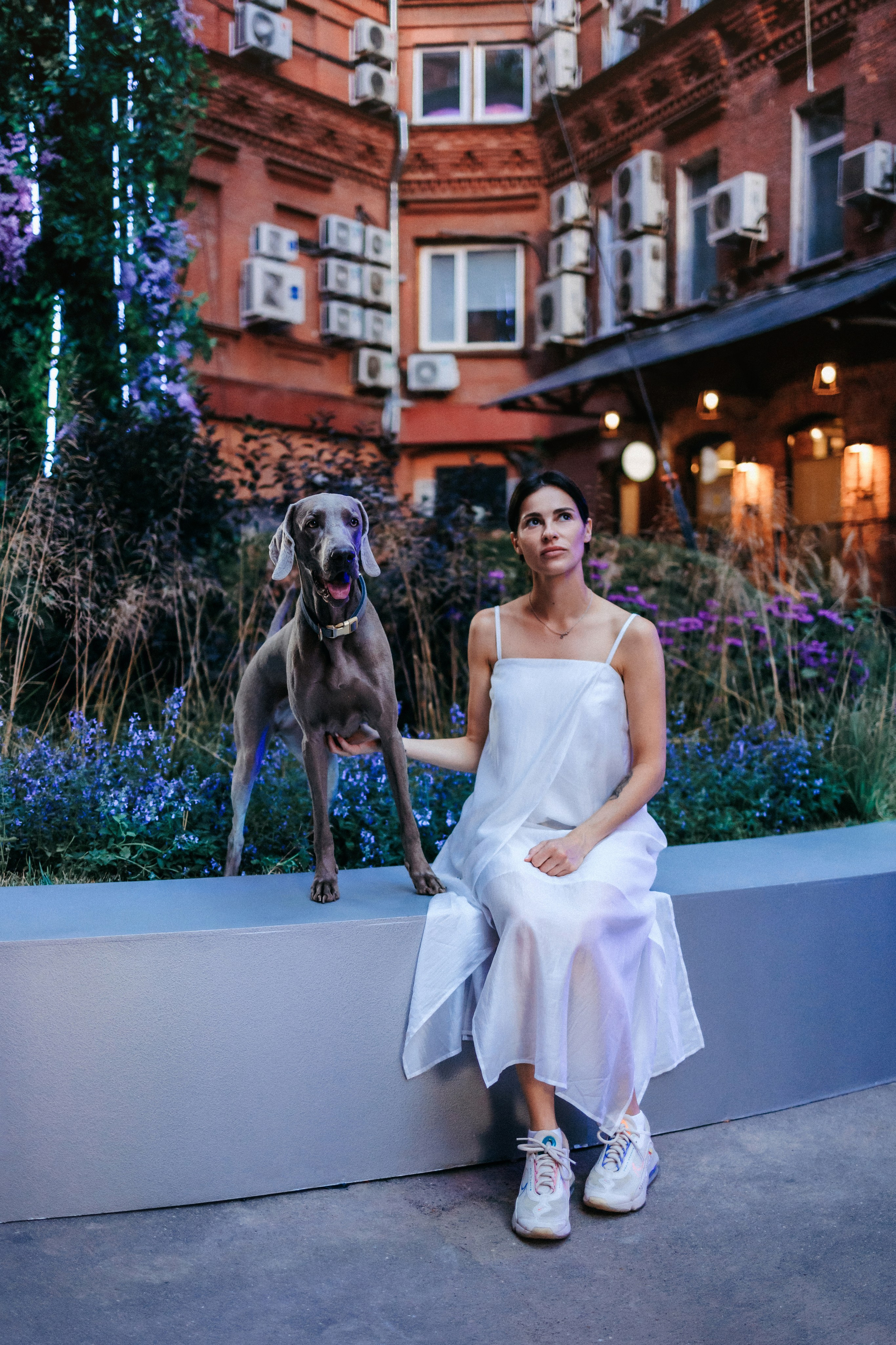 Соня и Майли. Фотограф-анималист Елена Радченко, Москва