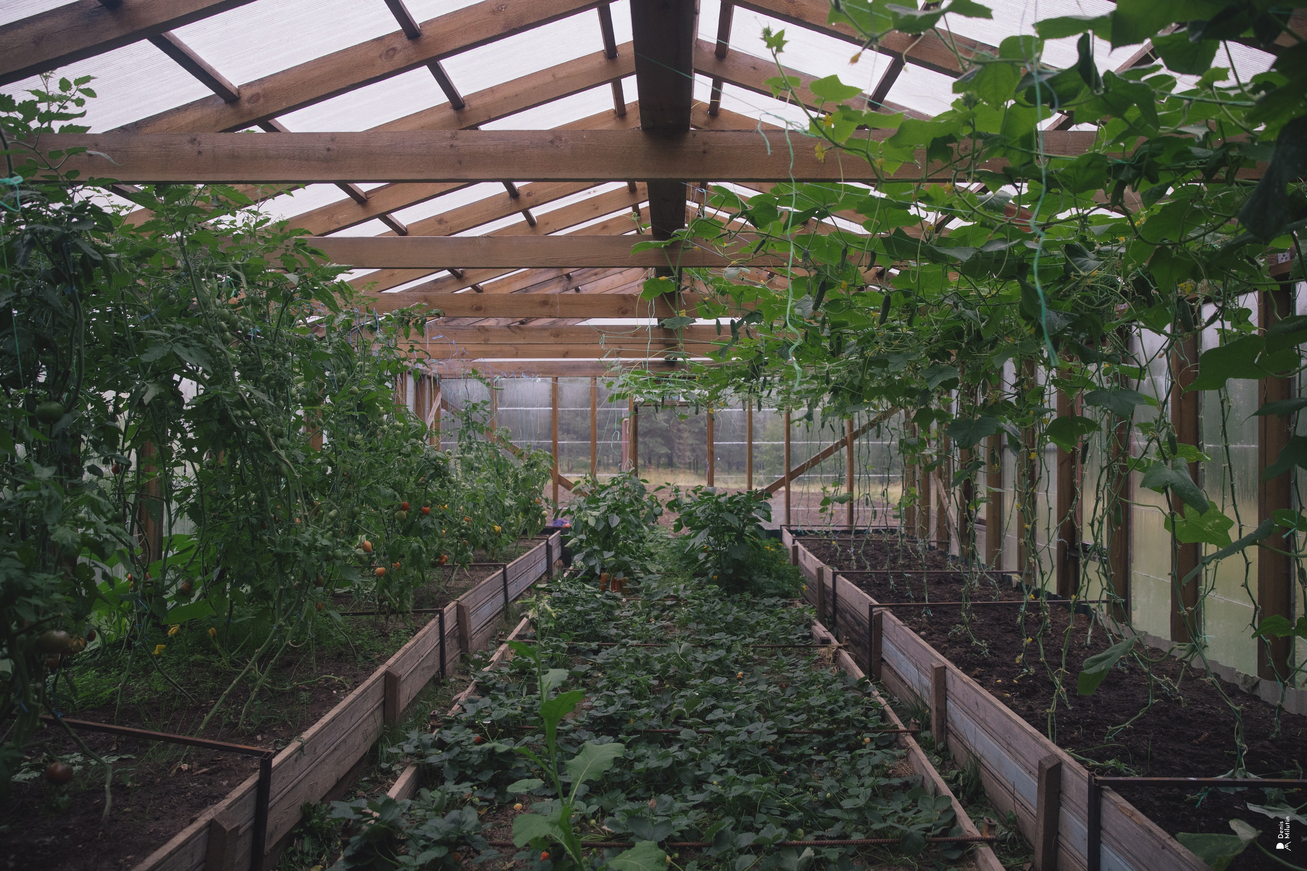 Женский Митрофаниевский скит Важеозерского мужского монастыря. Портретный фотограф Денис Милютин