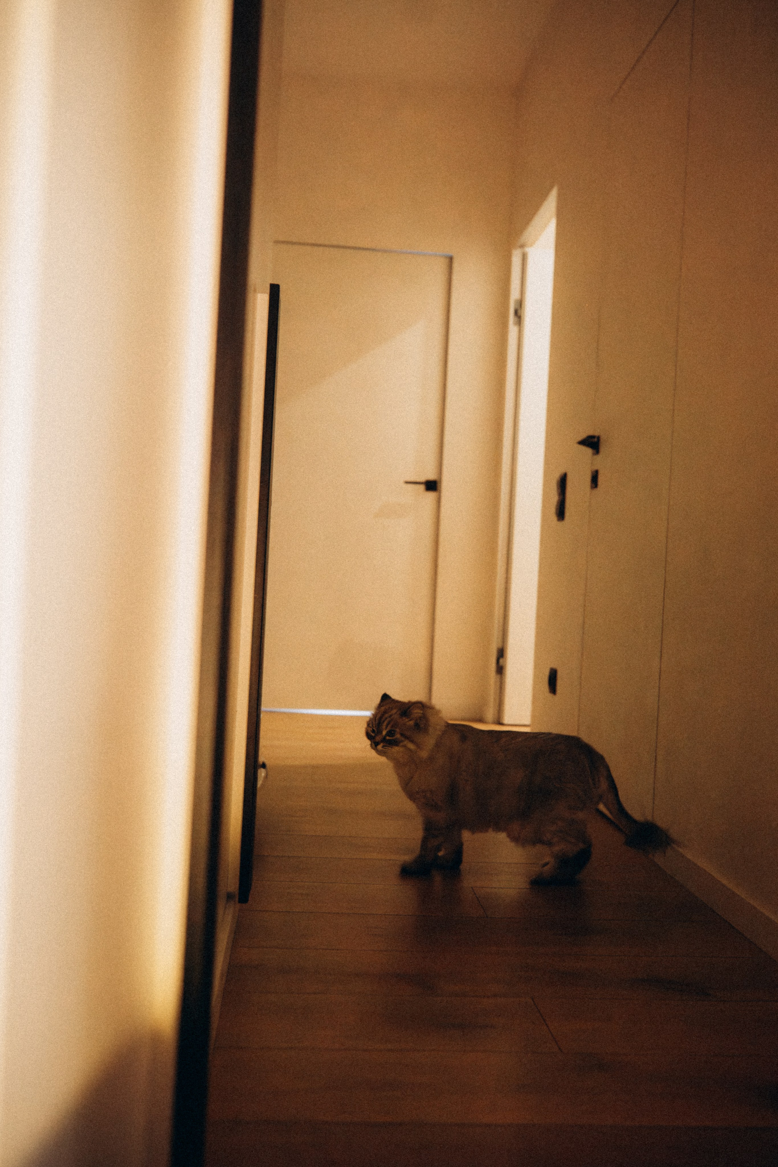 С Новым годом!. Семейный фотограф в Челябинске