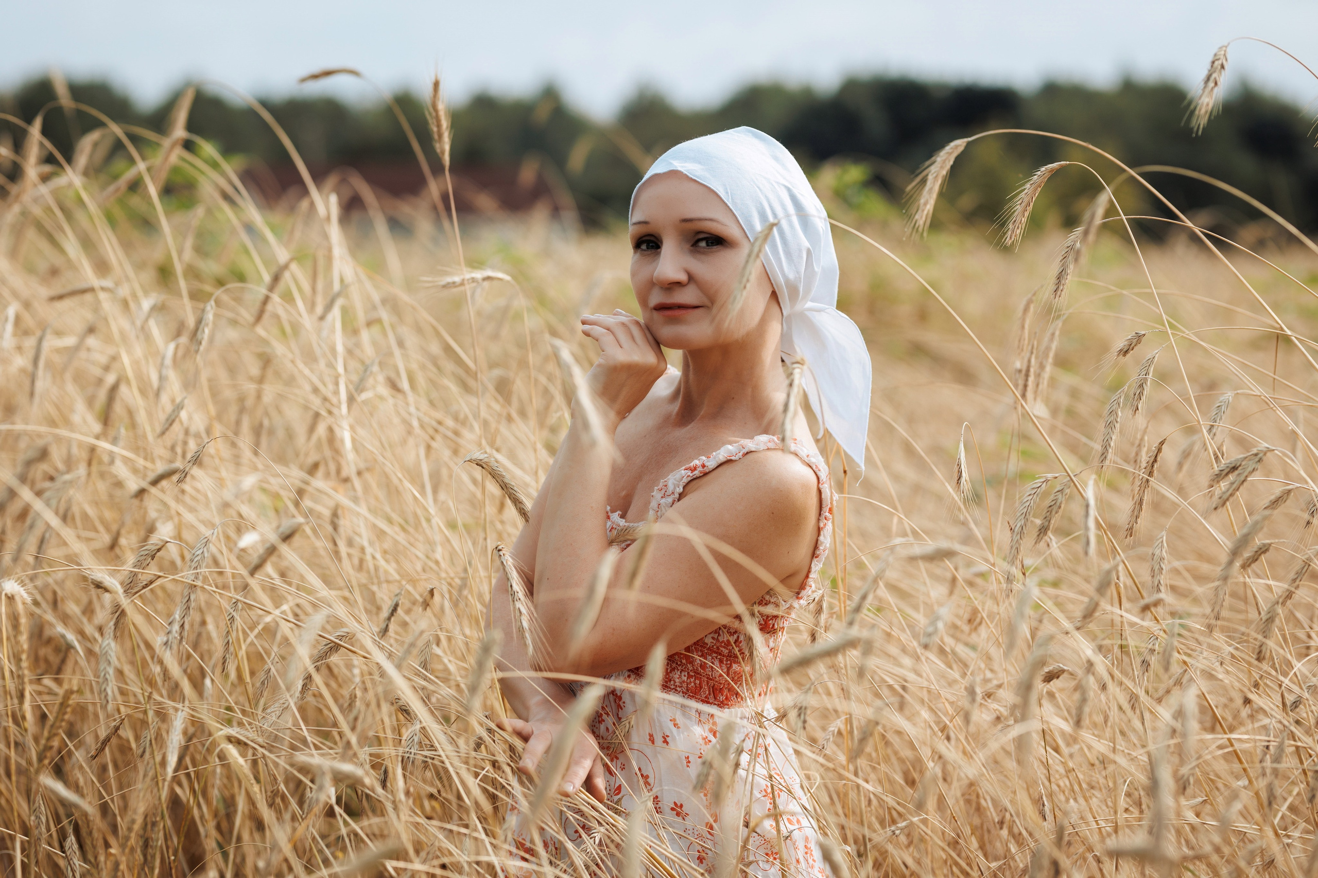 2025-08-10. Пшеничное поле