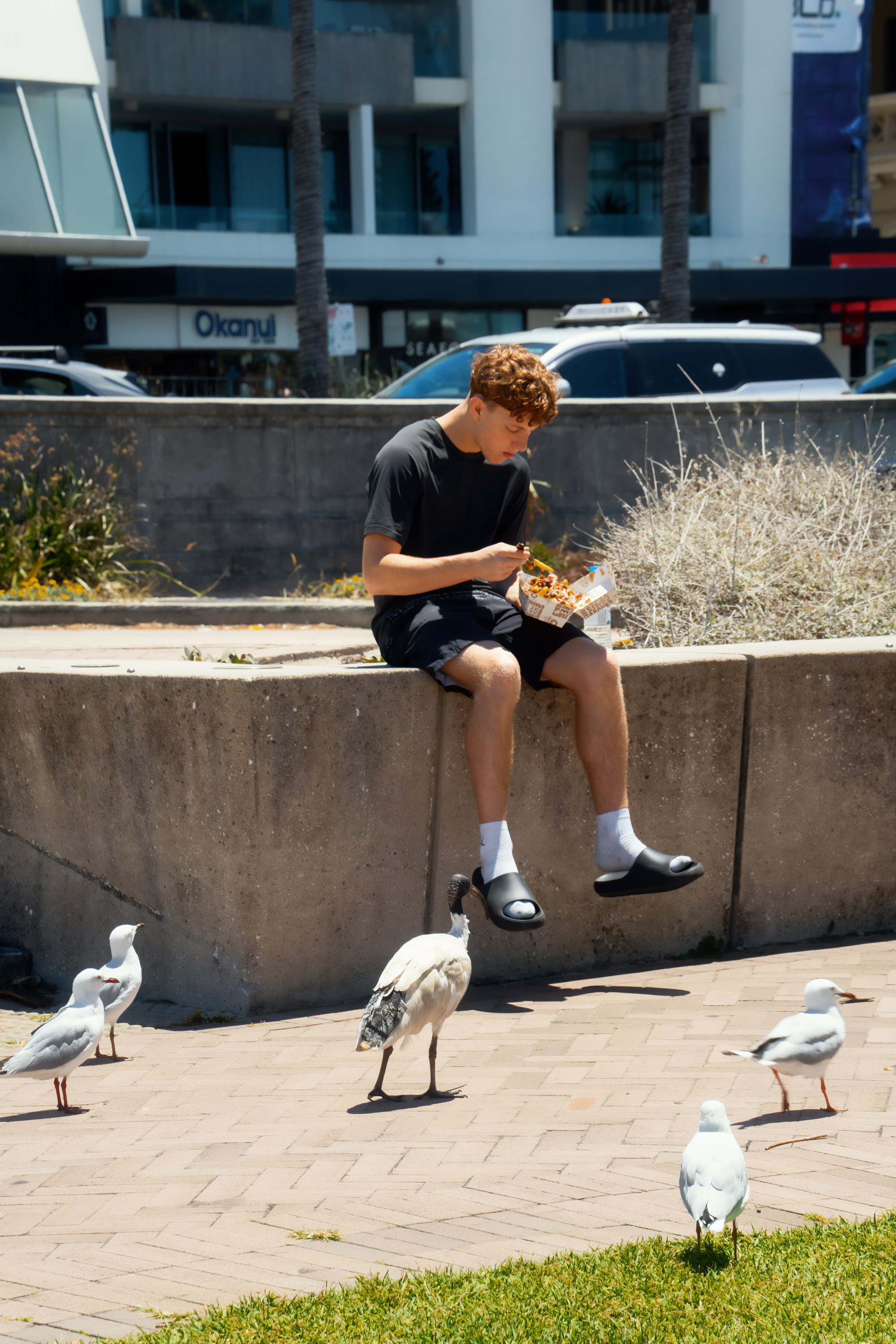 Австралия. Фотограф в Хабаровске. Фотография за 24 часа