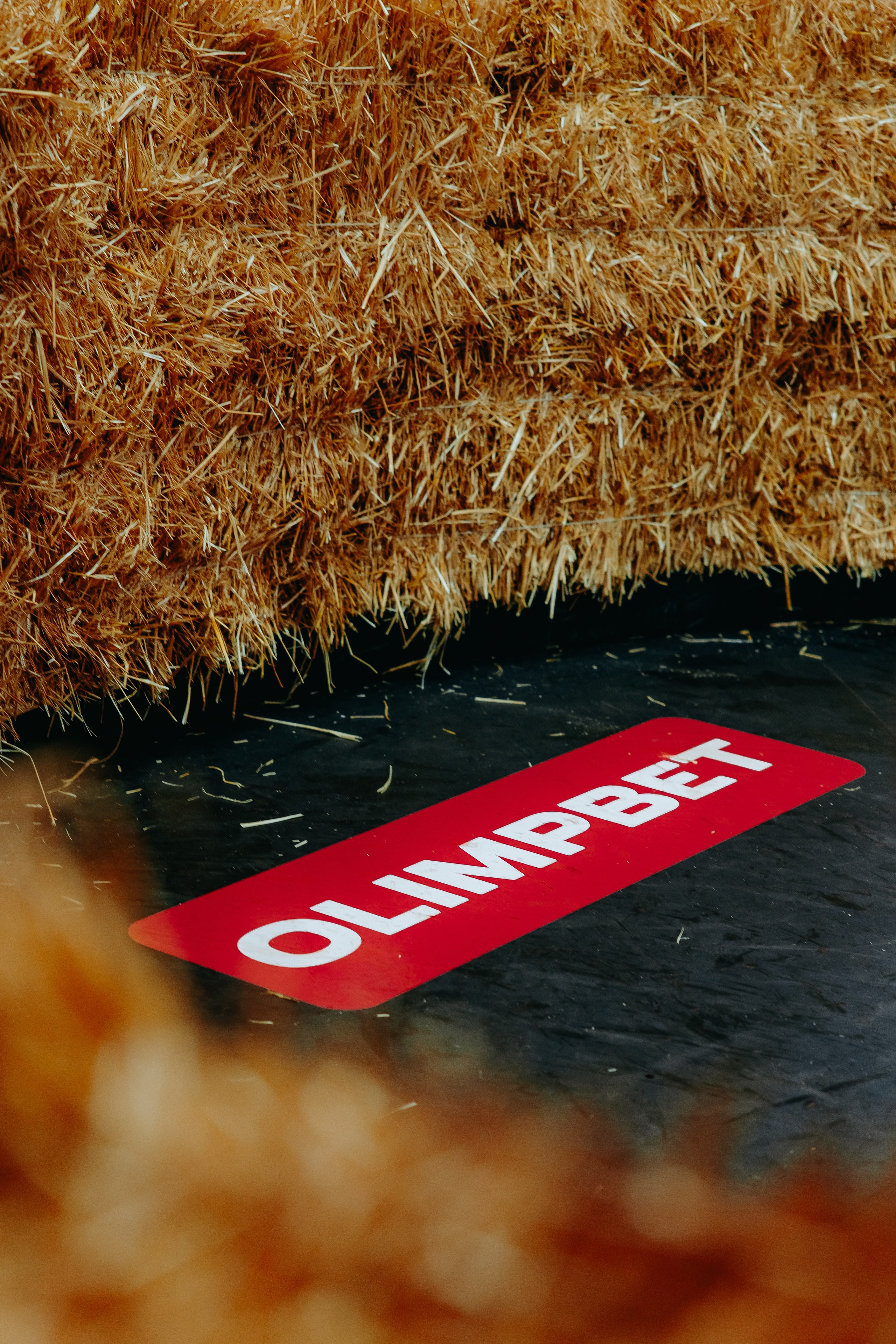 TOPDOG — 32. Фотограф в Саратове Александр Кухаренко. И не только в Саратове :)