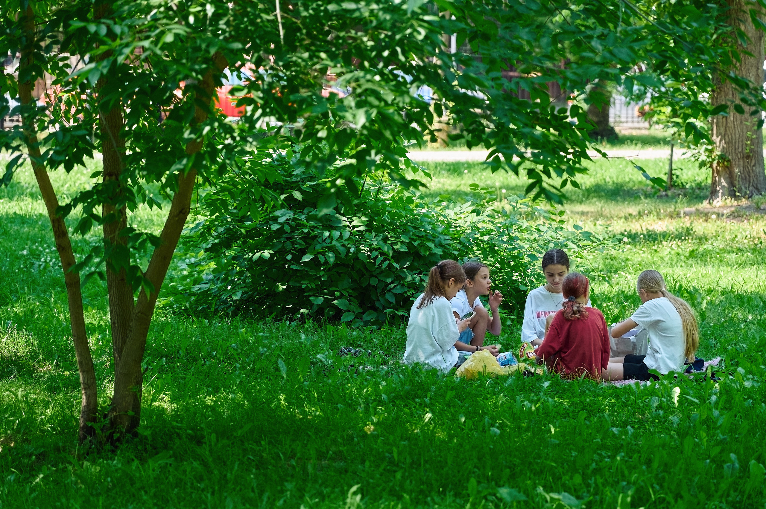 Всероссийская ярмарка трудоустройства. Фотограф Опыт Качество Скорость Горный Алтай Барнаул