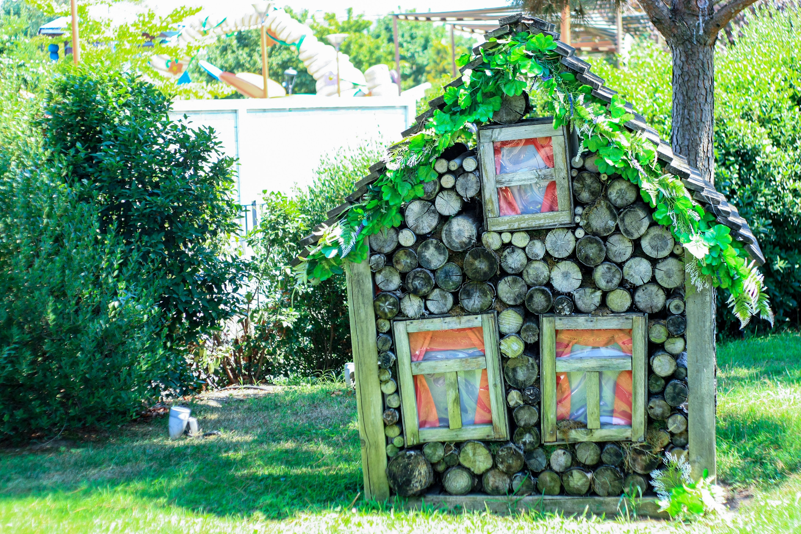 Первые кадры. Сочи — парк. Фотограф Роман Адлер