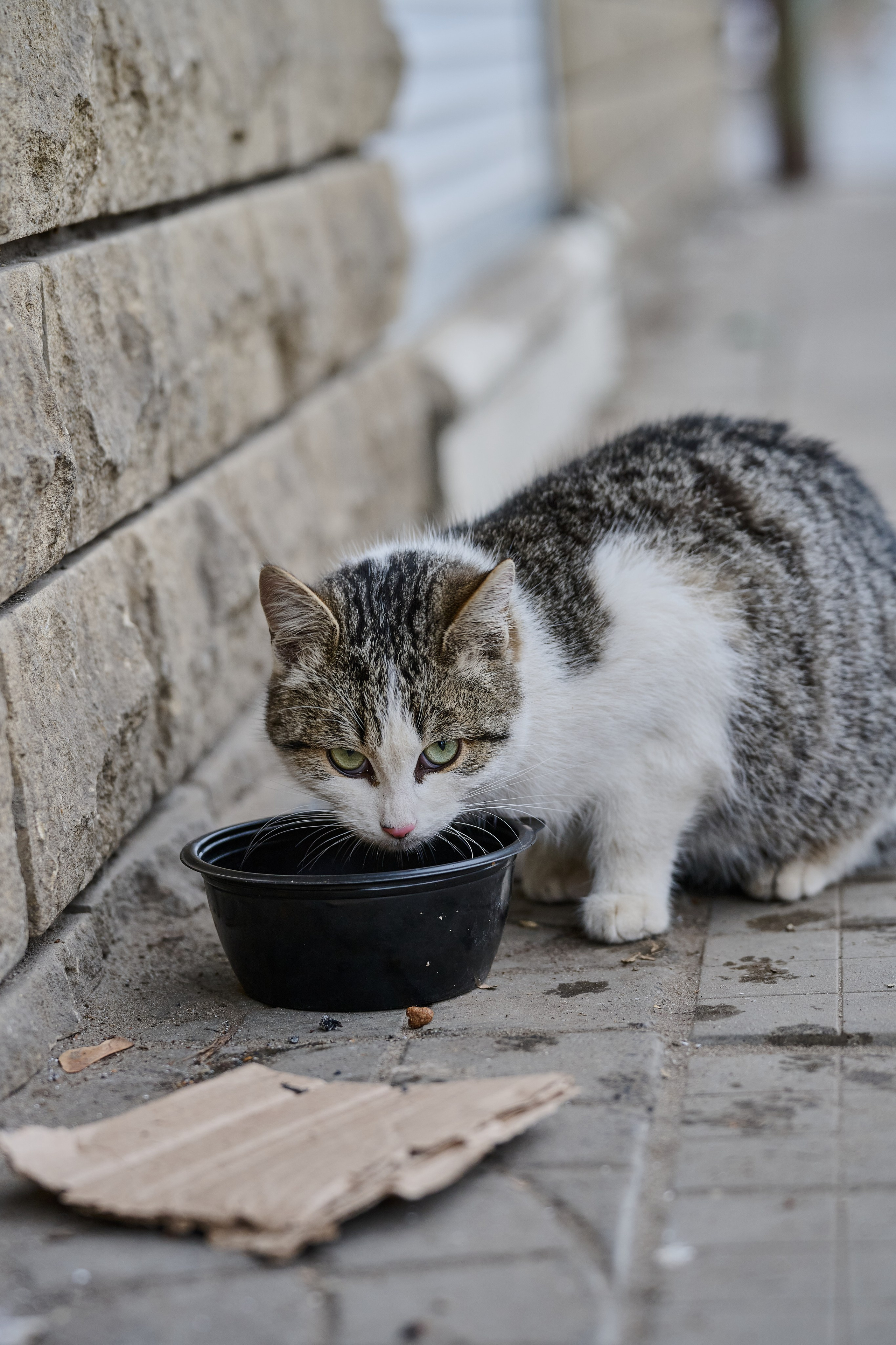 Северодонецк (Луганская область). Декабрь 2024. Фотограф Роман Адлер