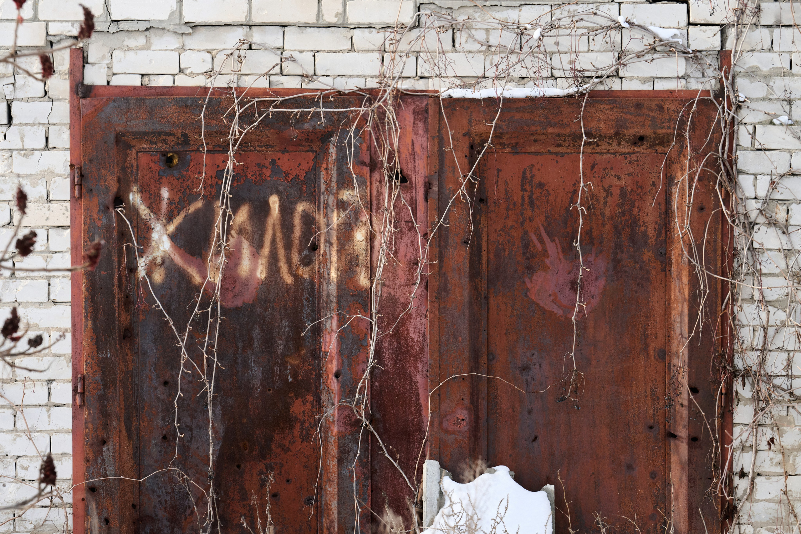 Рубежное. Январь 2026. Фотограф Роман Адлер