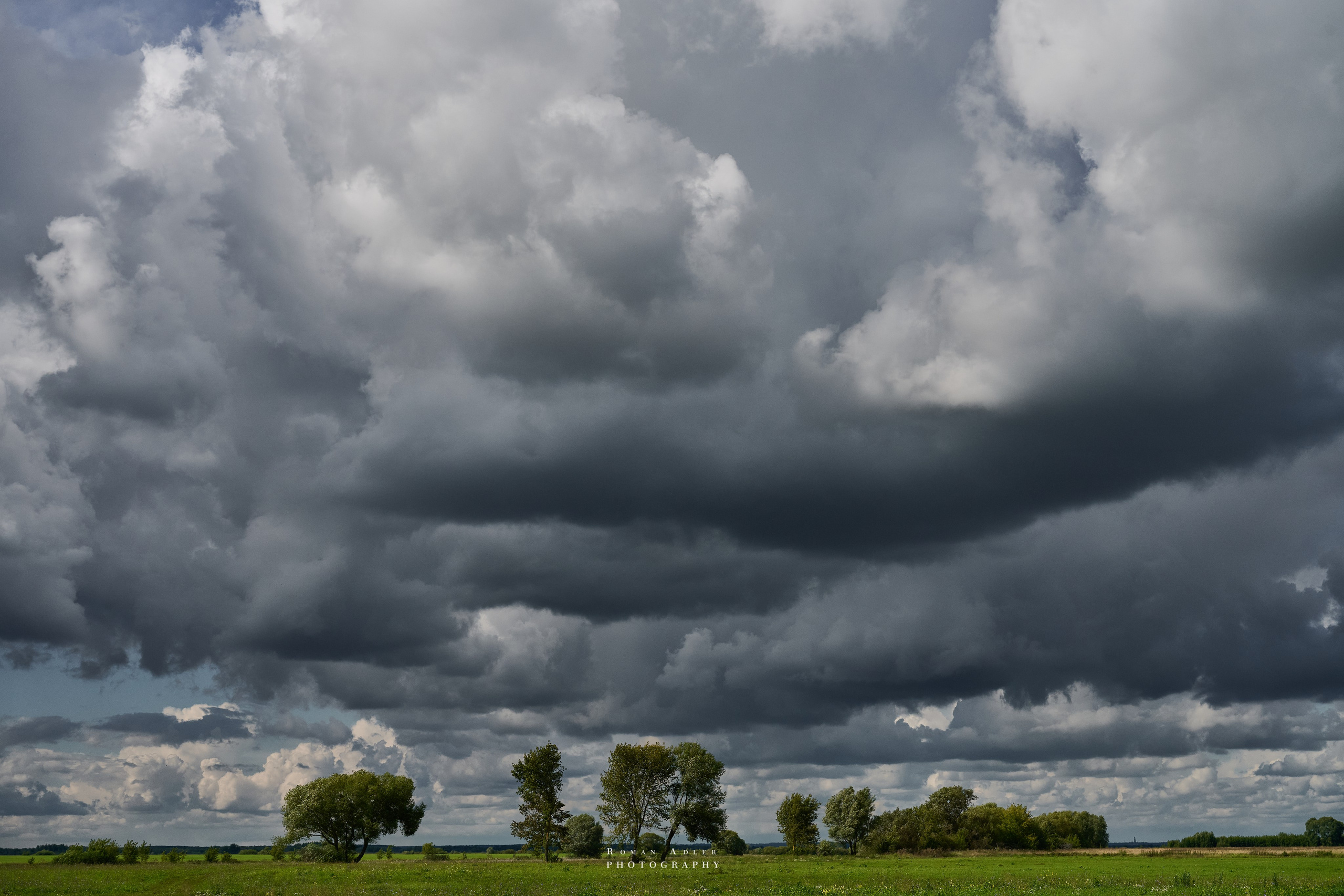 Рязань. Август 2025. Фотограф Роман Адлер