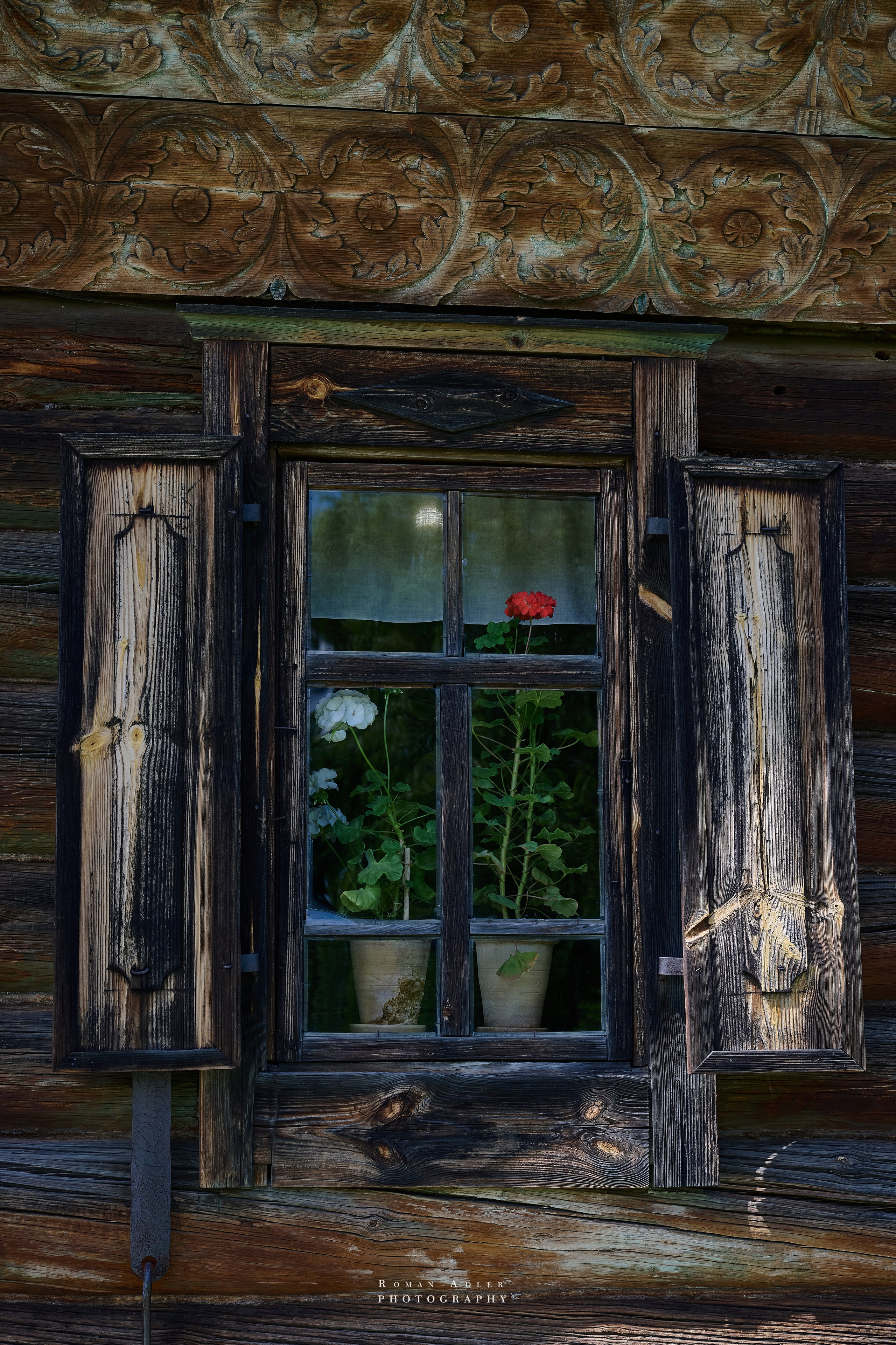 Суздаль. Июнь 2025. Фотограф Роман Адлер