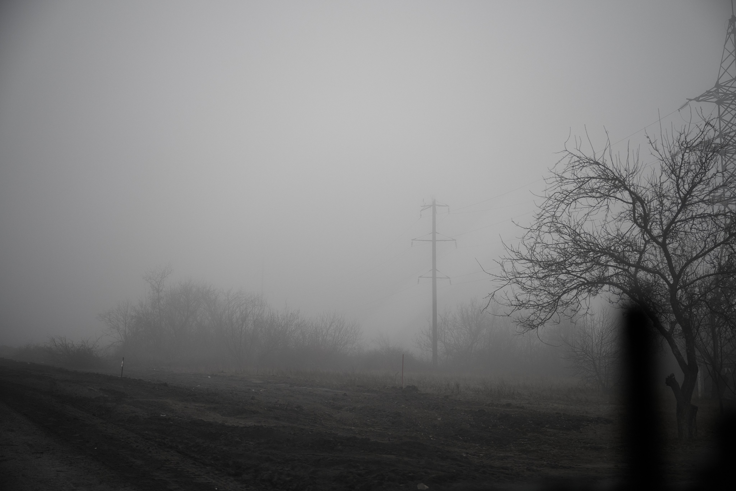 Дорога домой. Туман. Фотограф Роман Адлер