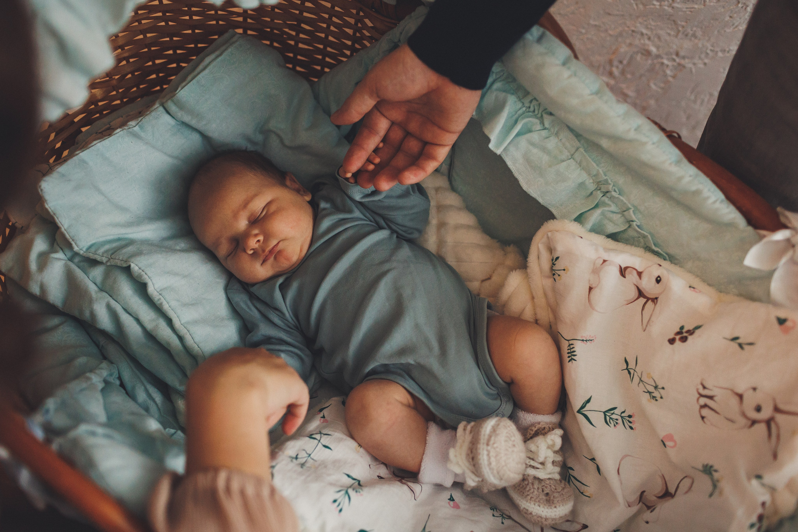 СЕМЕЙНАЯ / Максим, Люда, Соня и Макар. Фотограф Лодейное Поле Екатерина Герасимова в Санкт-Петербурге и Лен. области