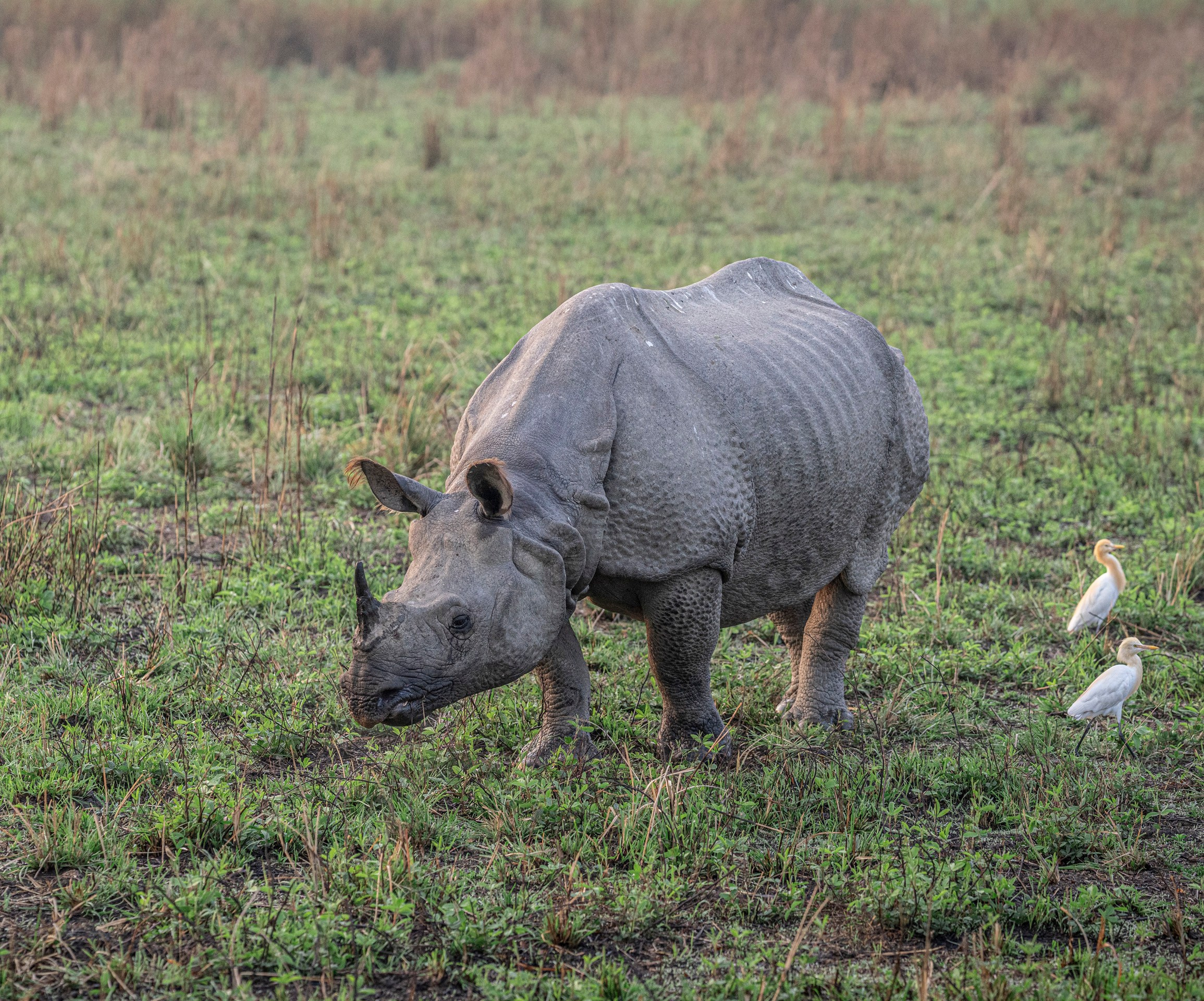 India travel. Фотограф Сергей Танков