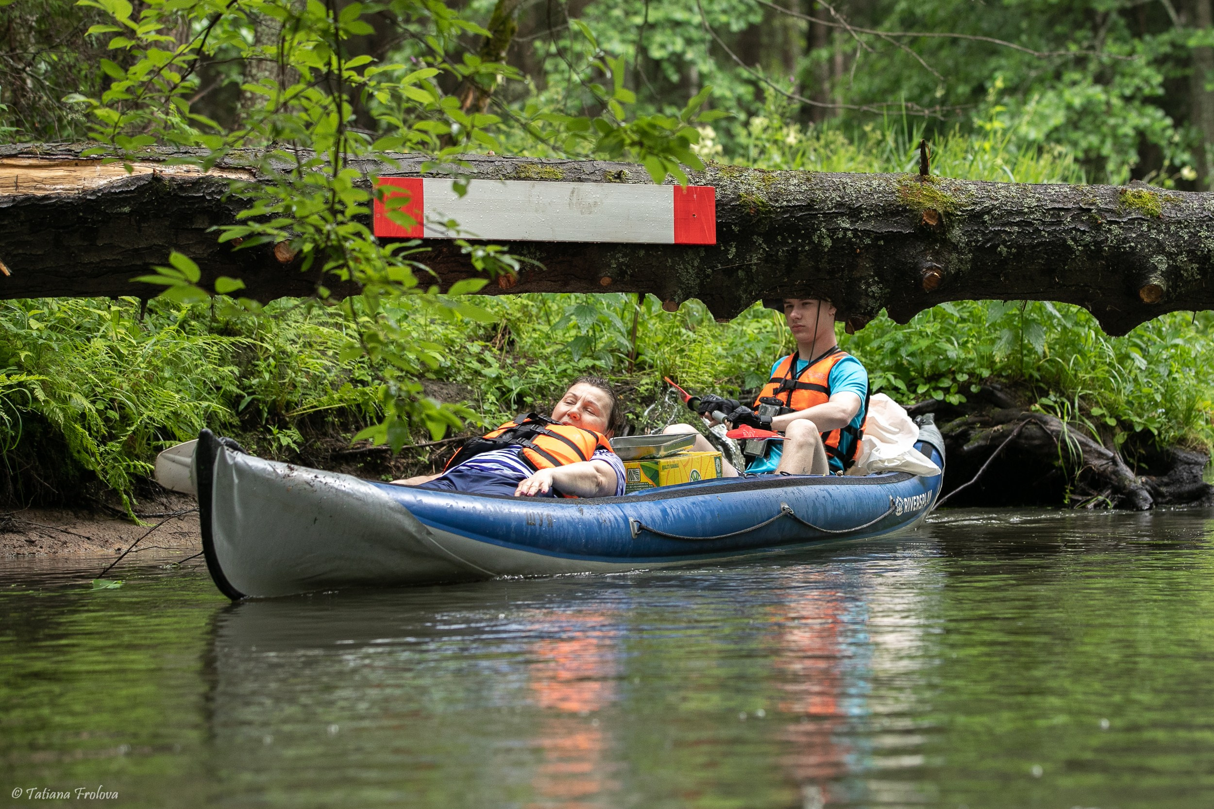 Фотоочет о сплаве на байдарках вместе с собаками. Фотограф-анималист в Москве и Московской области Татьяна Фролова