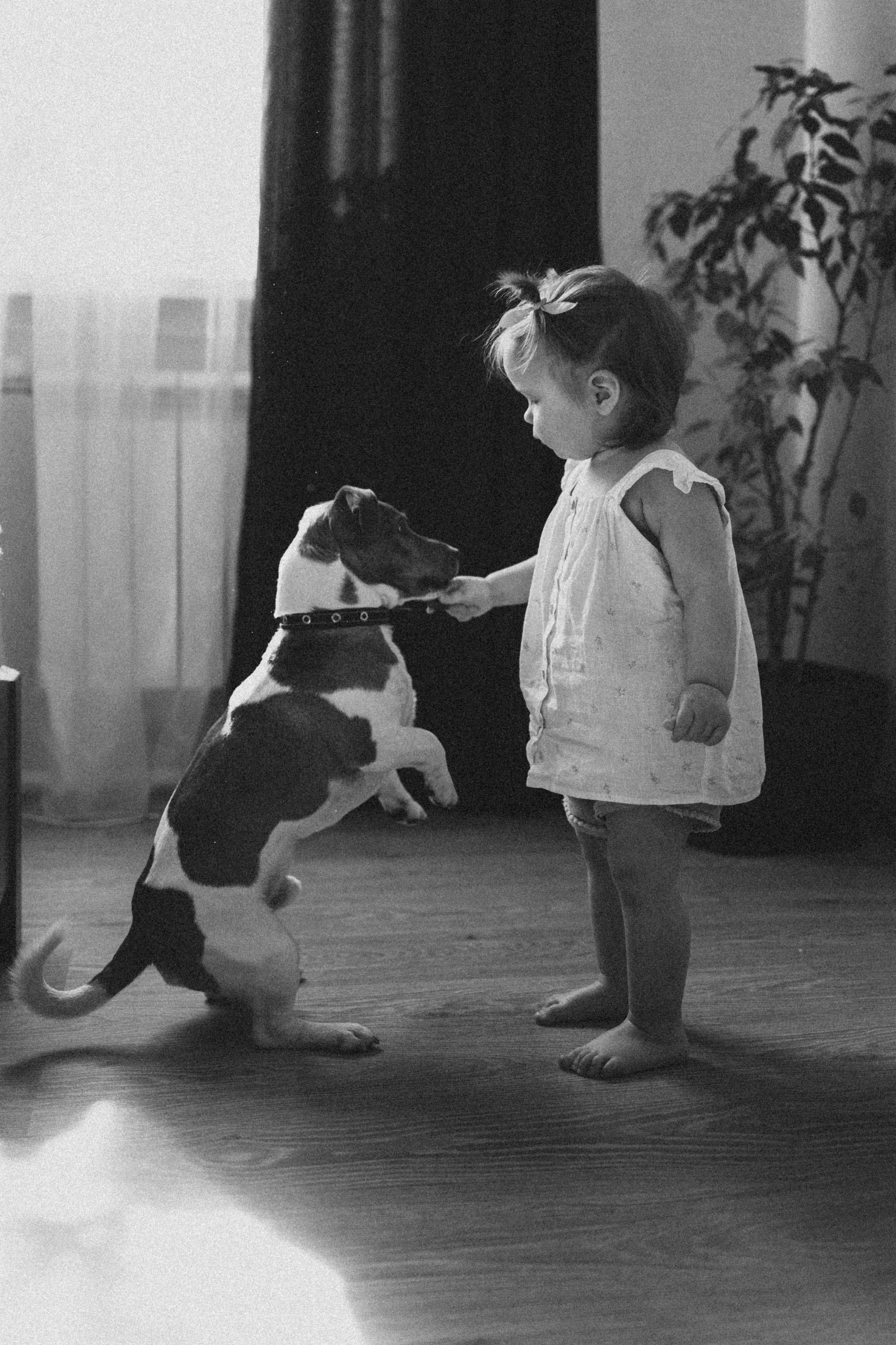 Семейная / Домашняя. Анна Лобастова | Фотограф для особенных мгновений ❤ Москва Люберцы