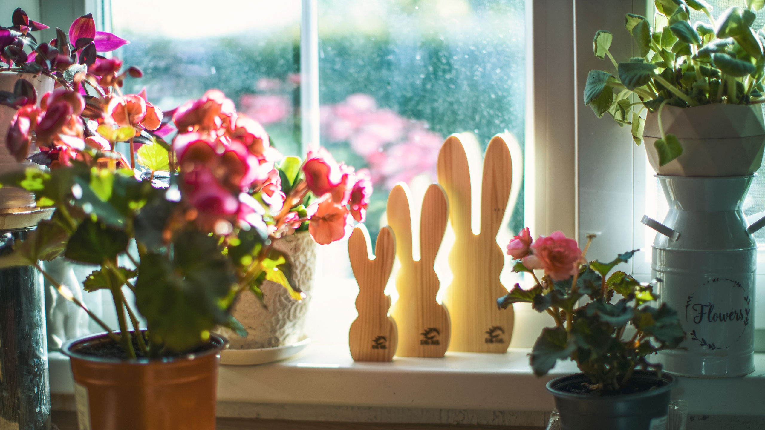 Конь-Огонь | столярная мастерская. Детский и семейный фотограф Калугина Марина | Москва и МО