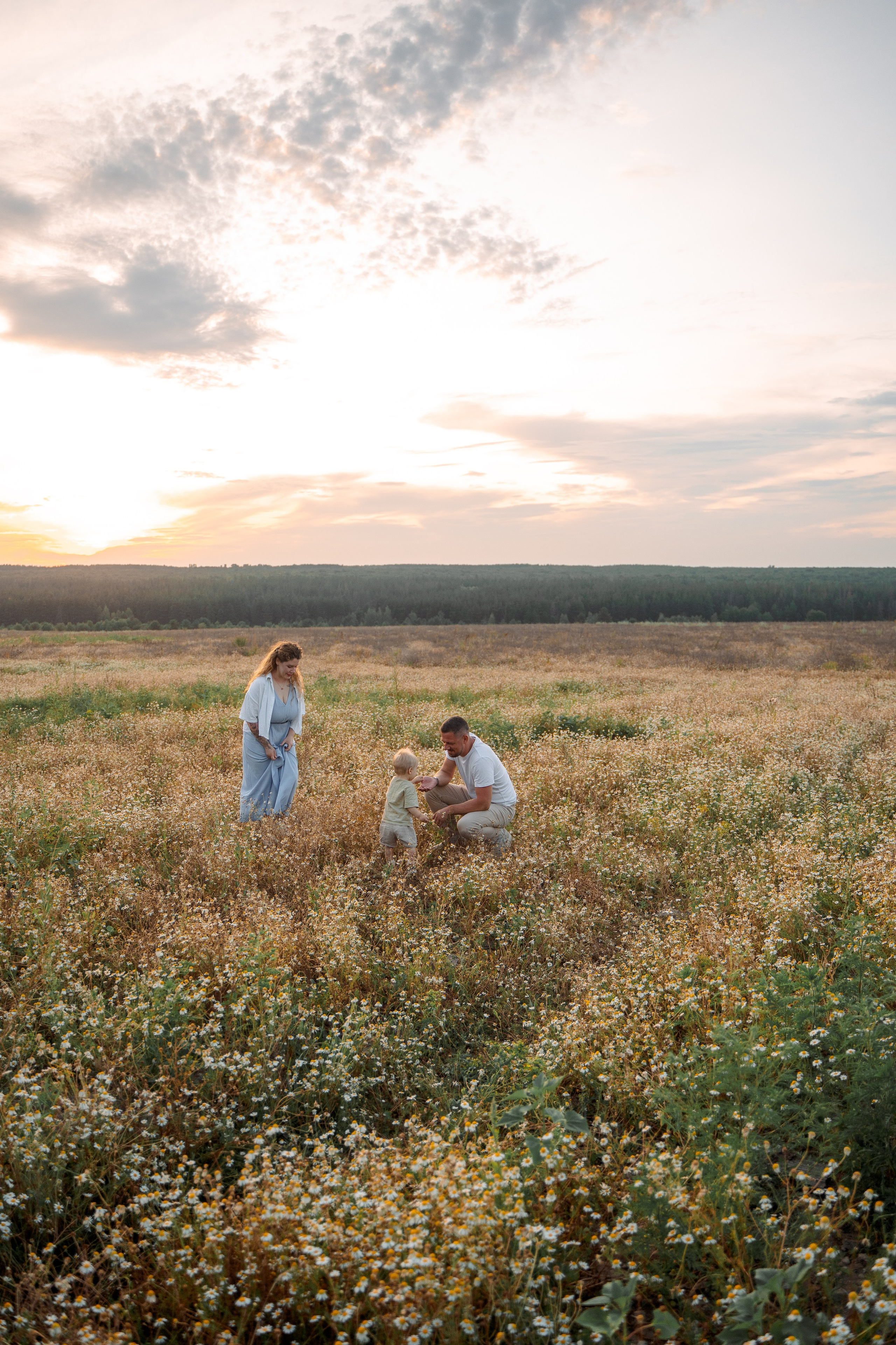 РОМАШКИ. Фотограф Мария Зайчик