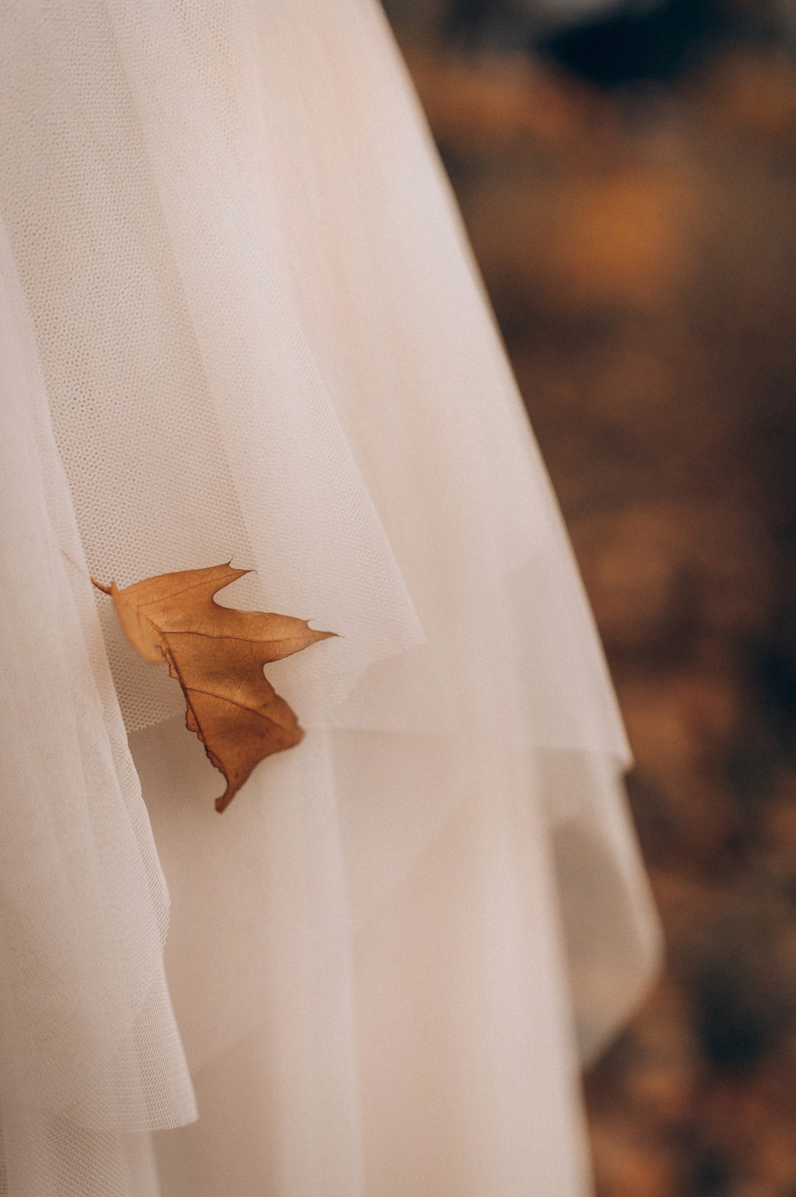 Владимир и Светлана. Фотограф Алексин, Тула