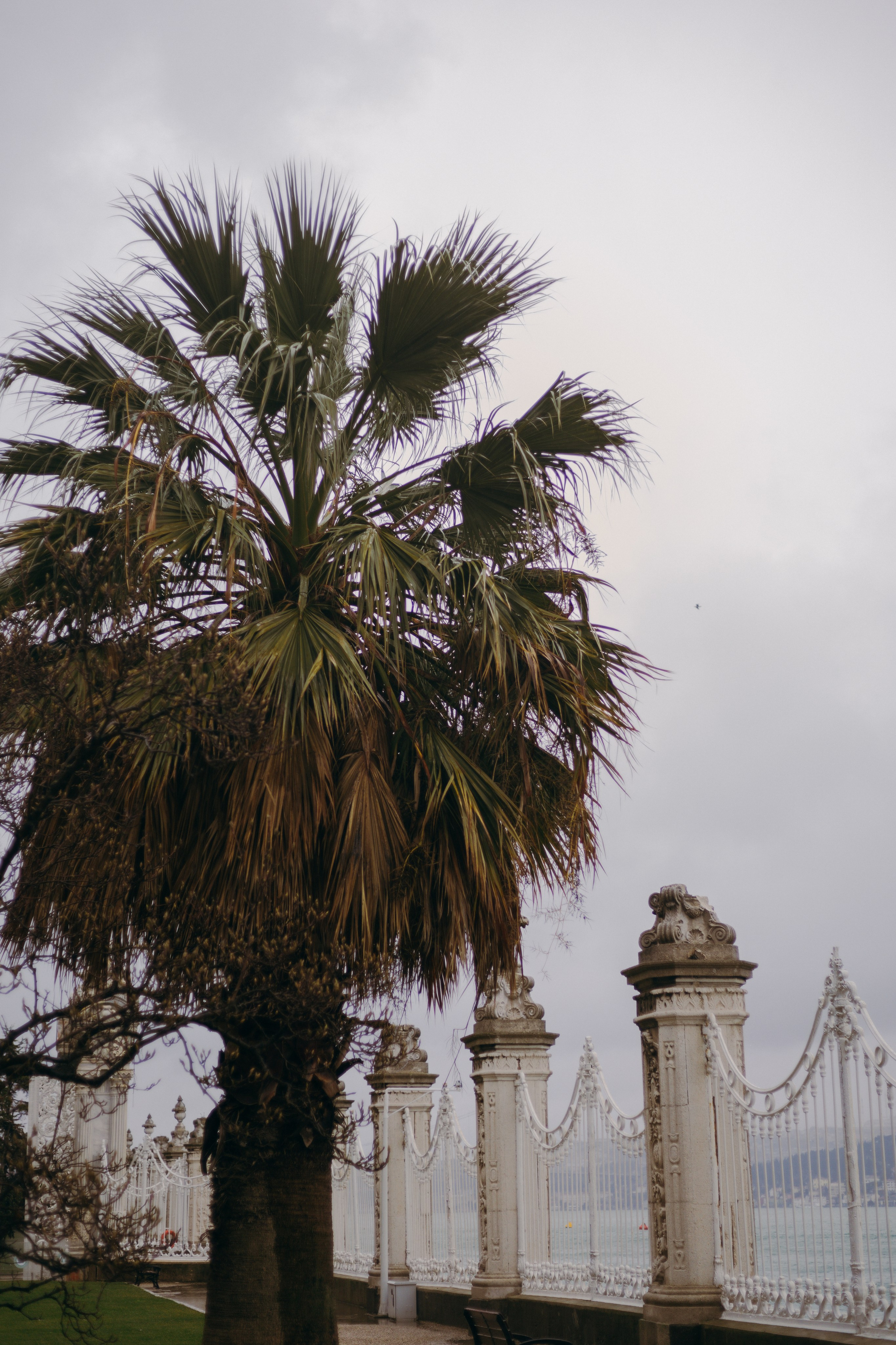 Стамбул. Профессиональный Фотограф во Владимире, в Москве и в Суздале — Полина Романычева