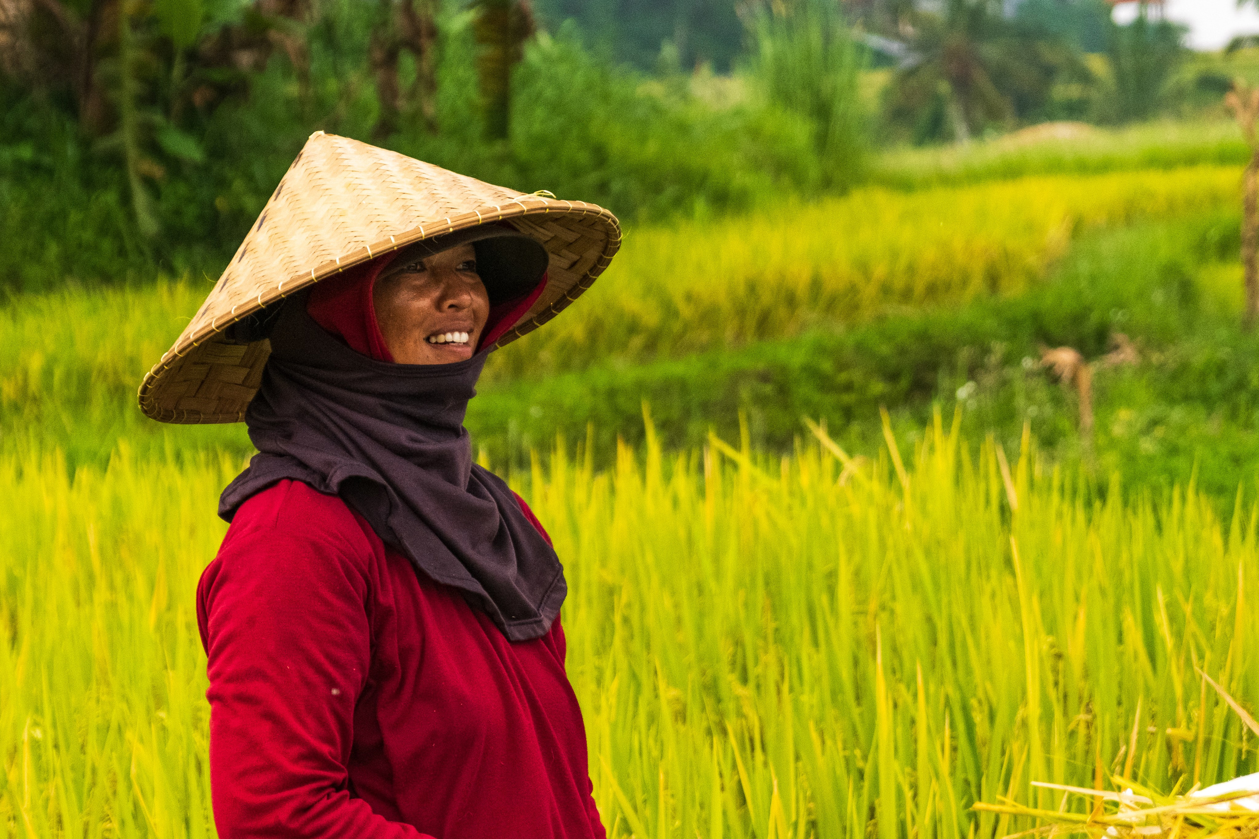 Остров Бали. Фотографии из путешествий