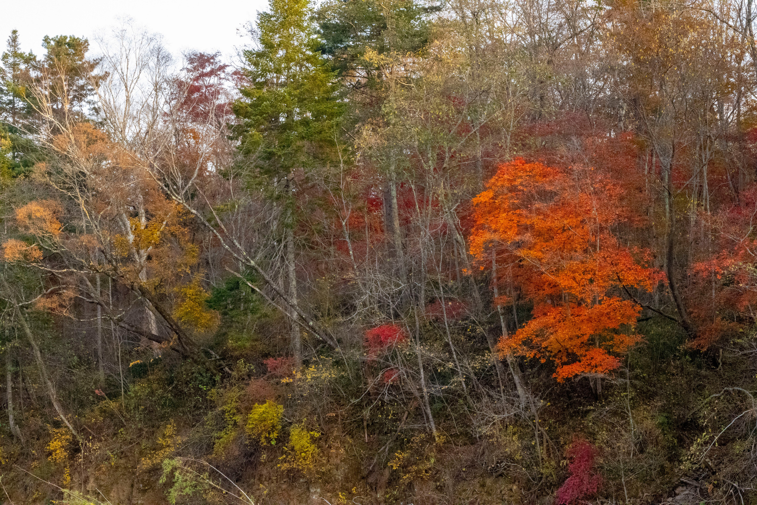 Пейзажи и Природа. Фотограф г. Владивосток