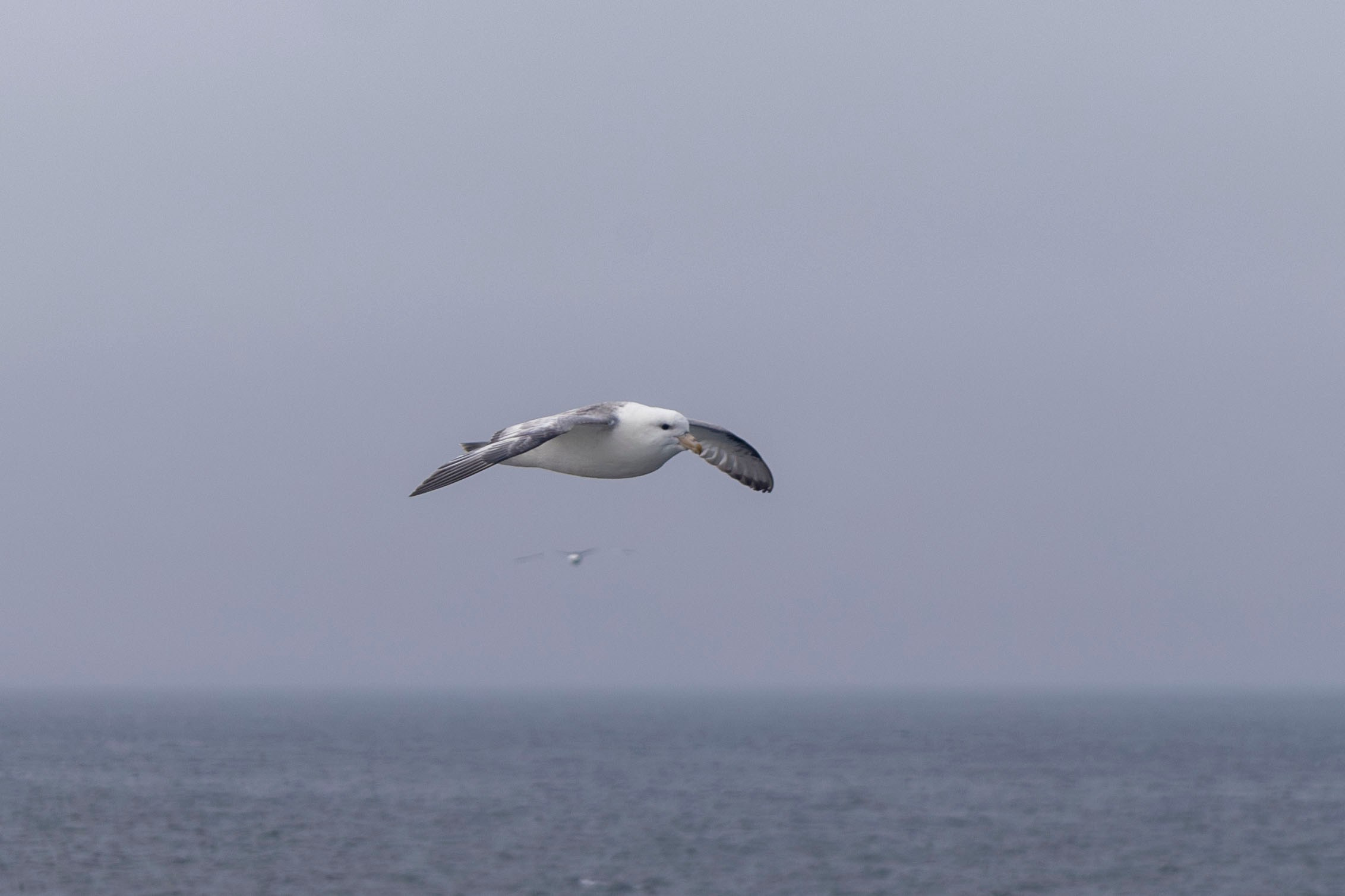 Когда я в море. Часть 2. Фотограф г. Владивосток