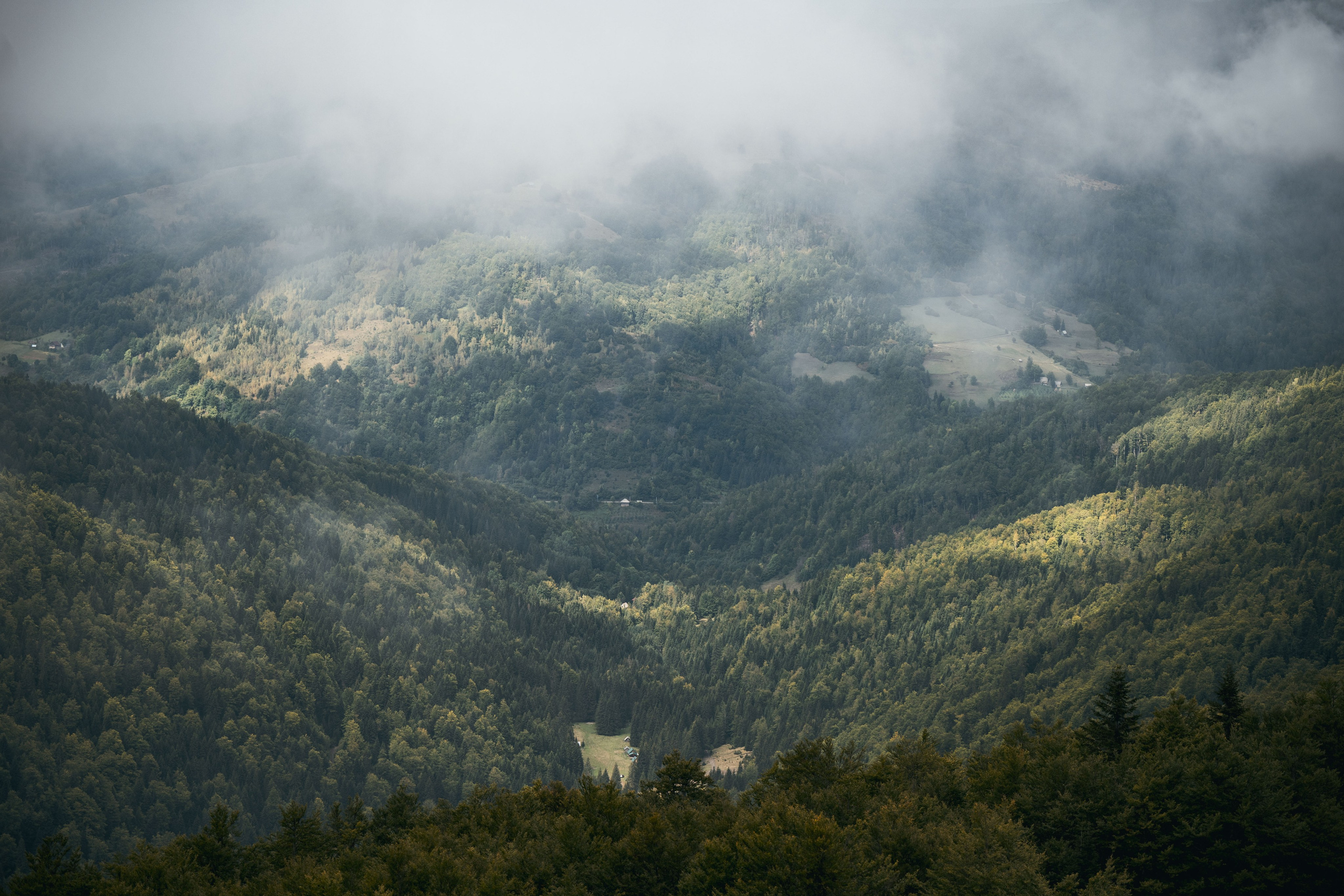 ГОРЫ КОМОВИ. ЧЕРНОГОРИЯ. Фотограф в Белграде Чугреева Елена