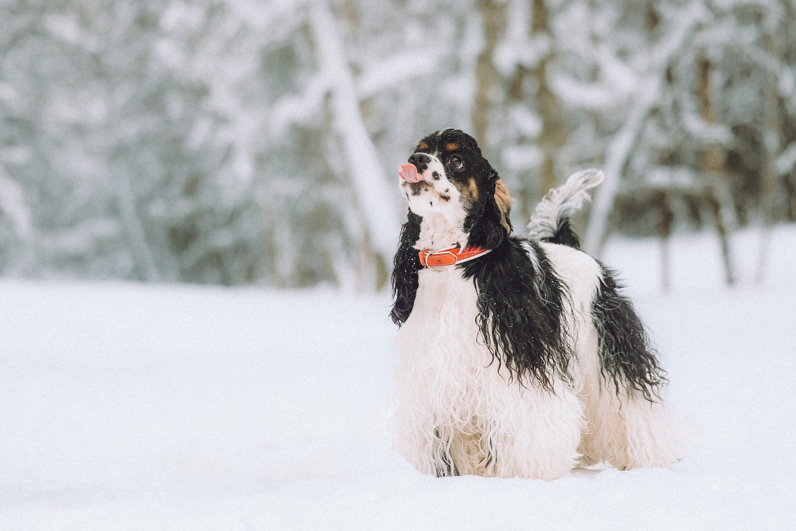 Ольга и Патрик