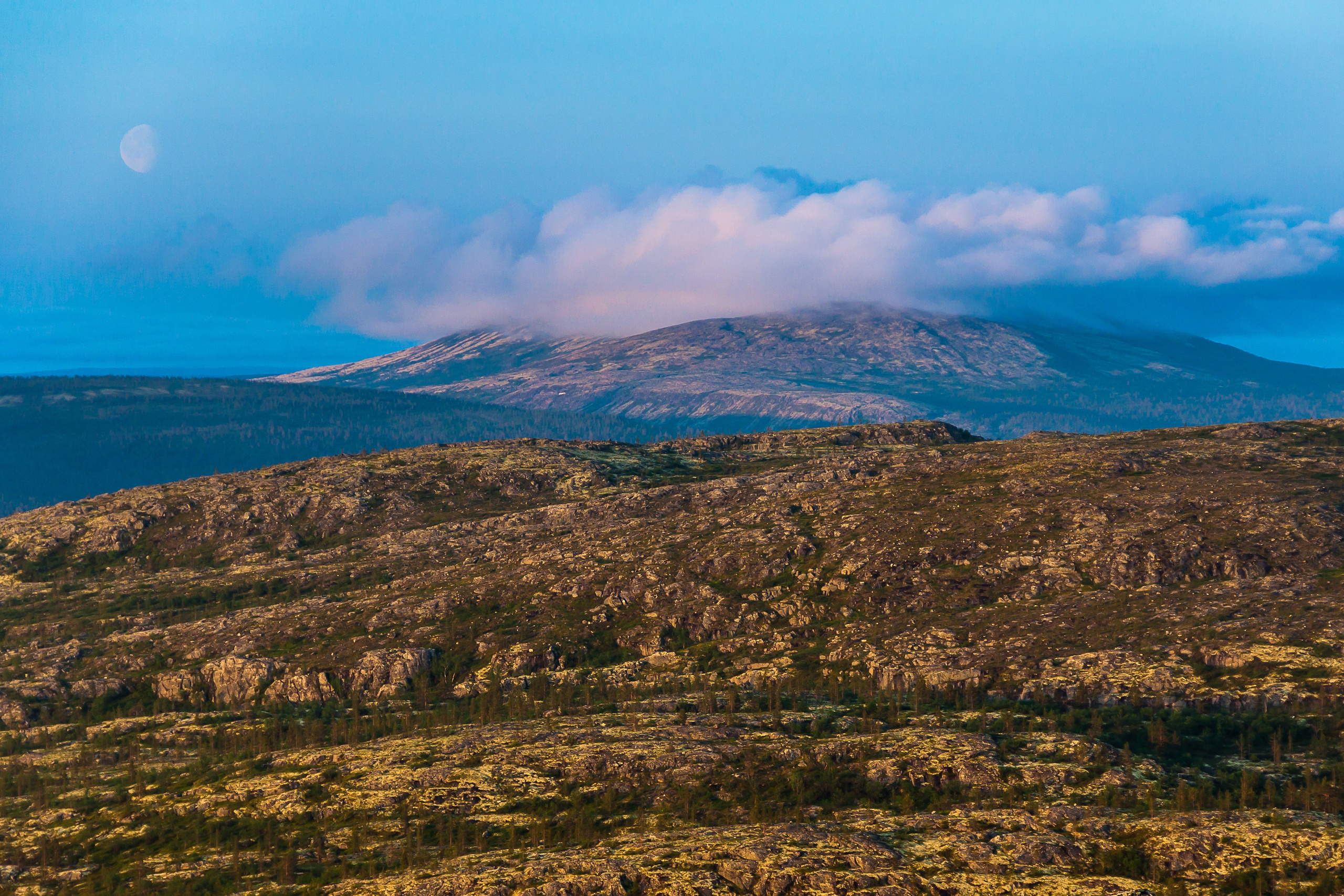 Тундра Лес и Сопки. Пейзажи Крайнего Севера. Баренцево море, Рыбачий, Средний, Немецкий