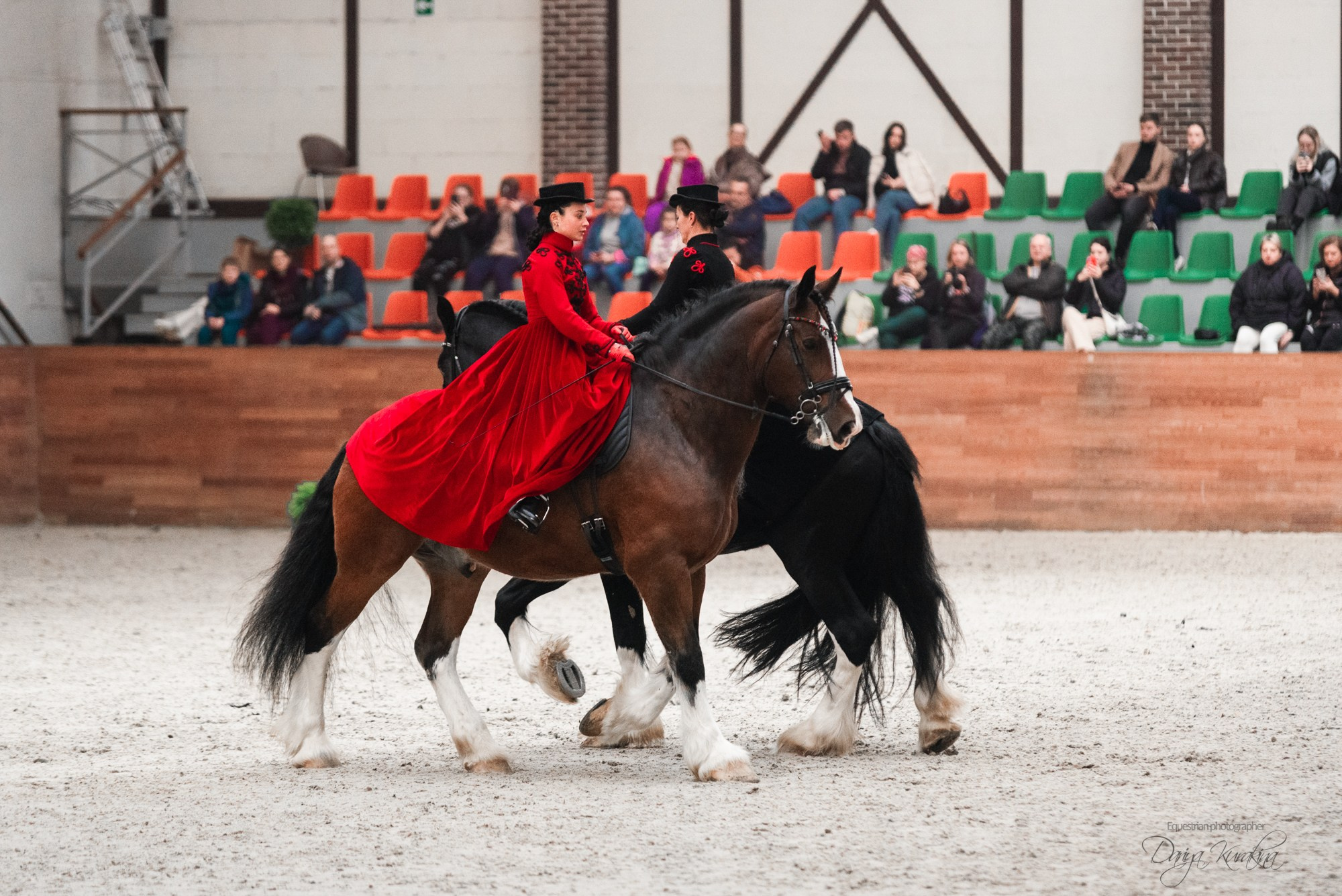 8-я международная выставка Конная Россия. Конный фотограф Куракина Дарья • Фотосессии с лошадьми