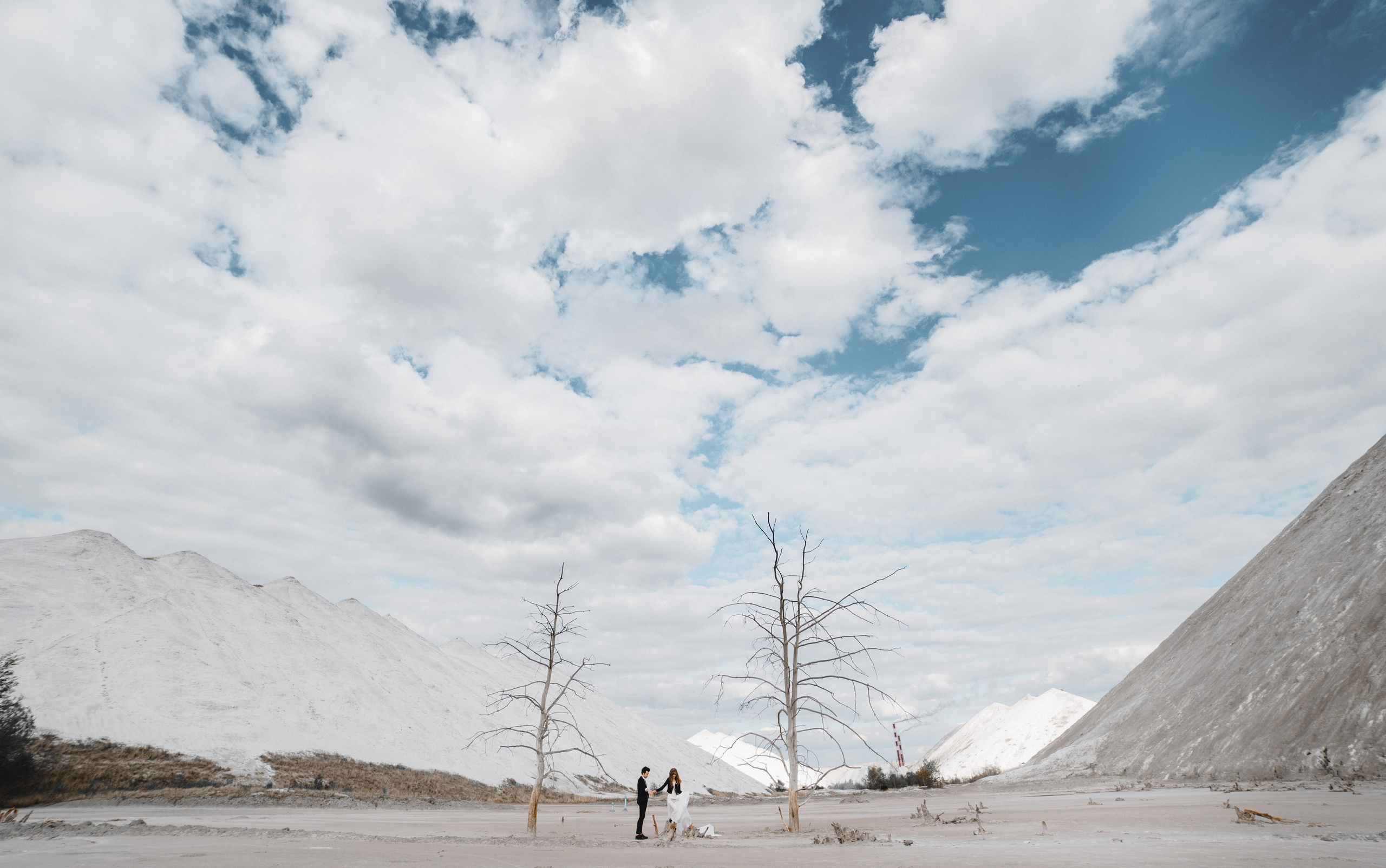 Desert Rose. Свадебный и семейный фотограф в Минске Алексей Пузиков