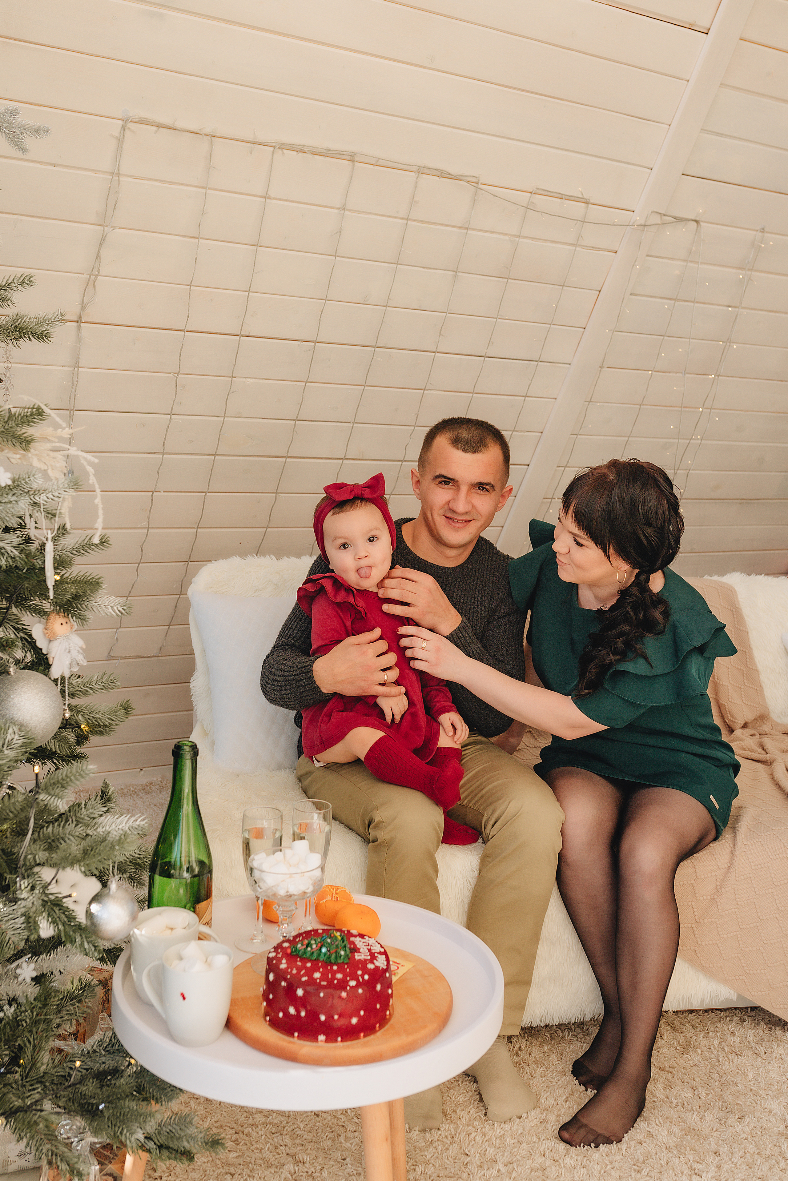 Семья Соколовых | Новогодний фотодень. Фотограф Карина Шмулёва. Воронеж и область