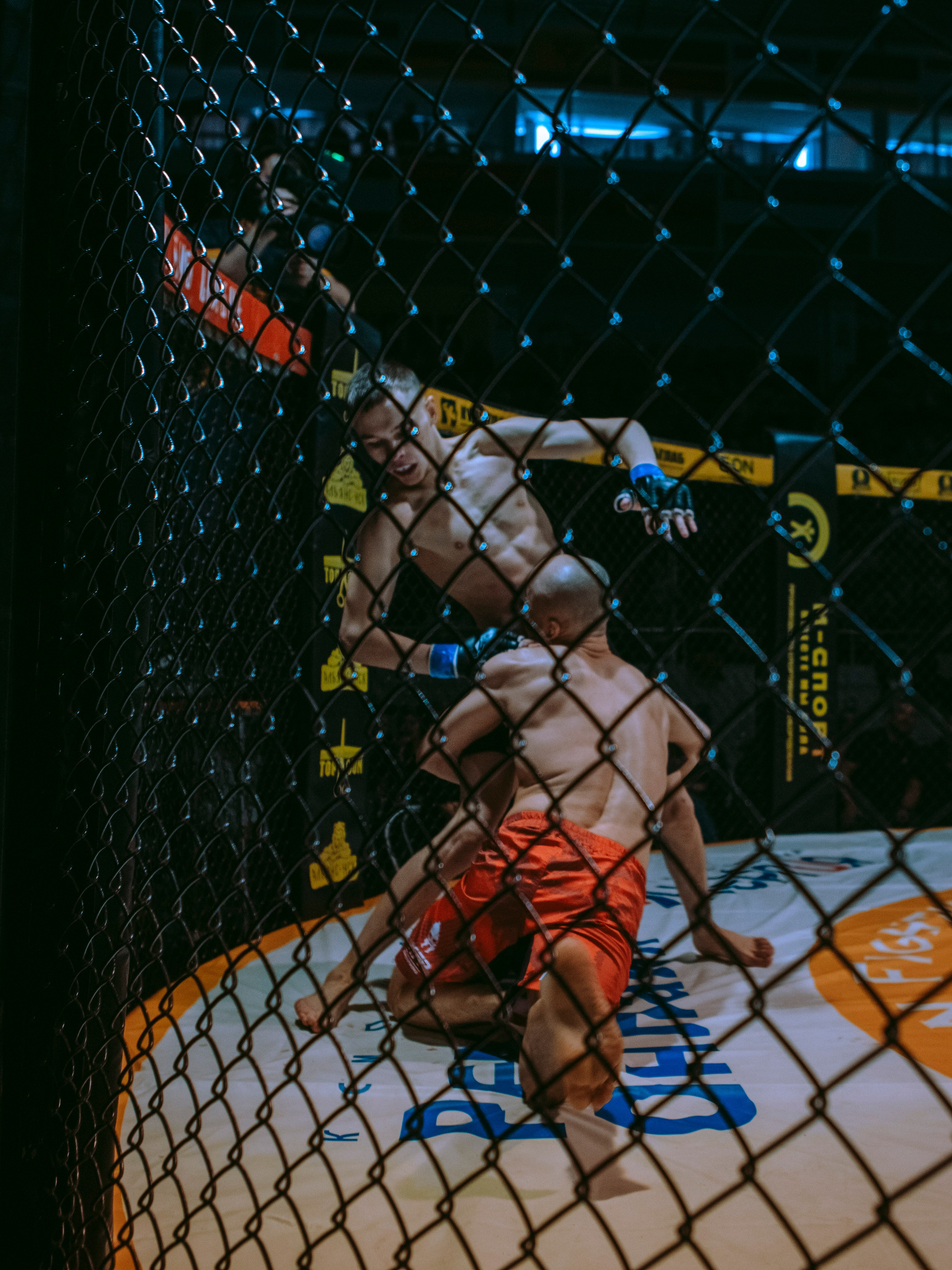 SFL 17 | Siberian Fighting League. Портретный фотограф в Москве Дарья Цезария