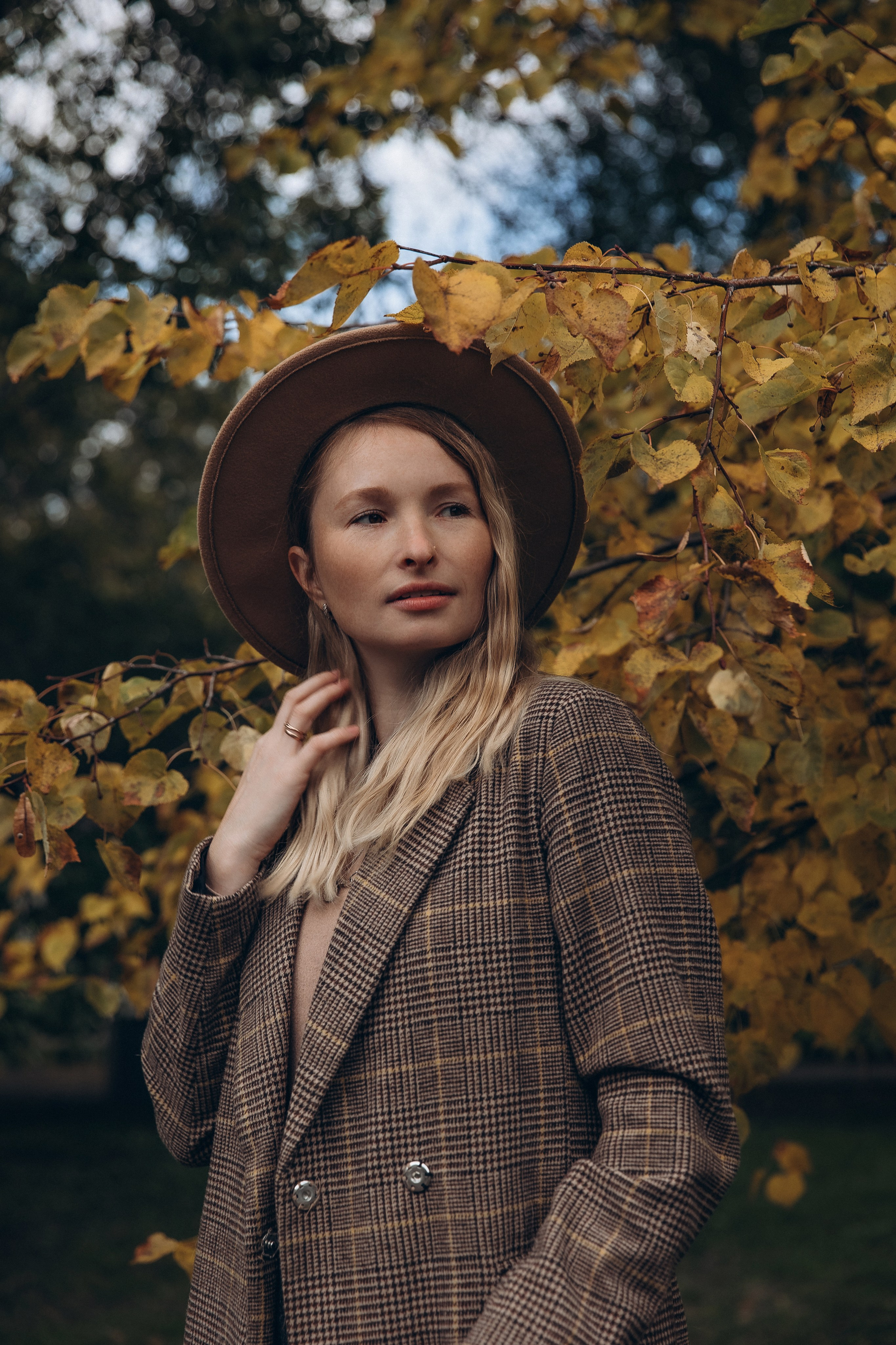 «Королевский Корги» 2. Фотограф Алина Ионычева в Новосибирске