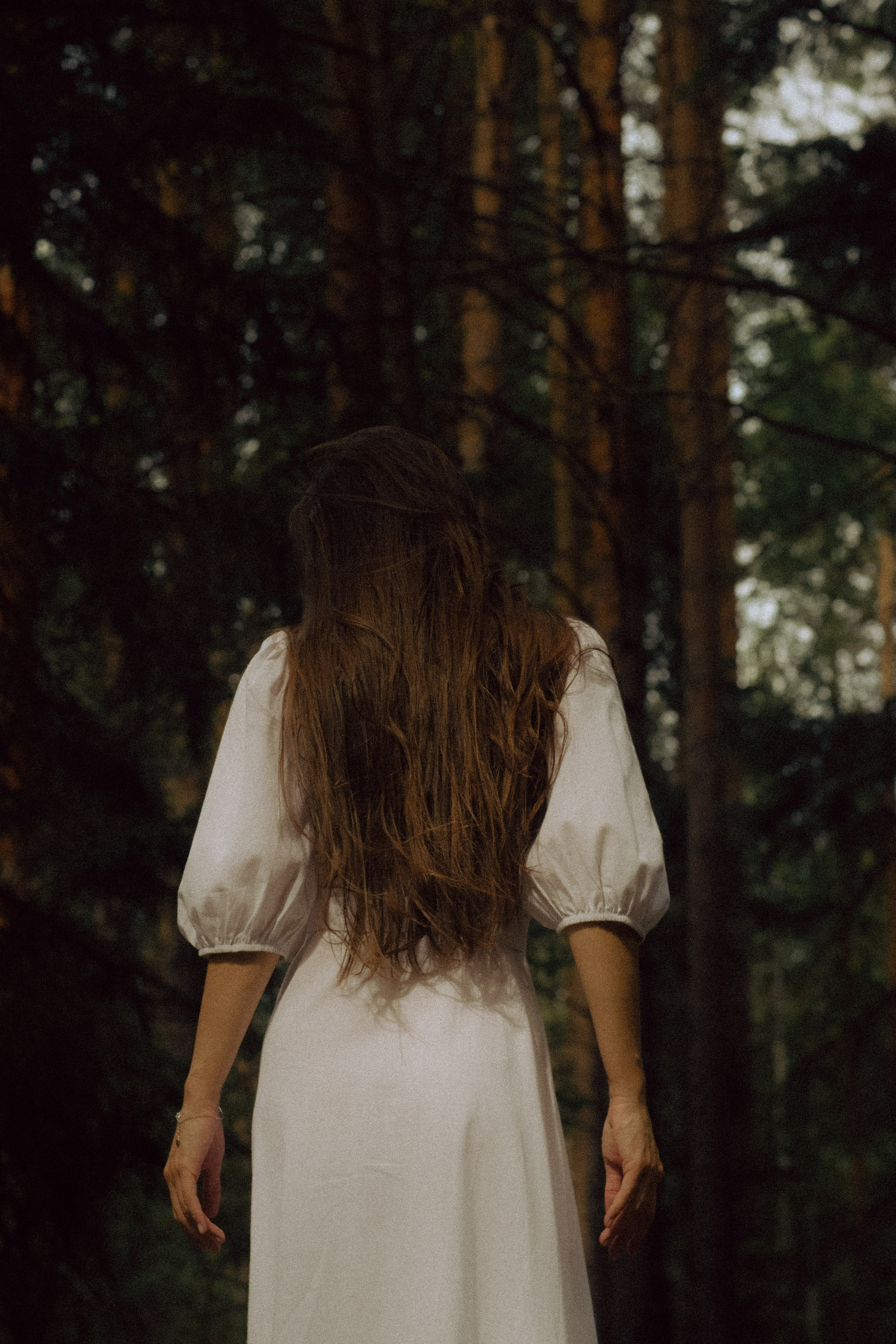 DINA. ГЛАВНАЯ