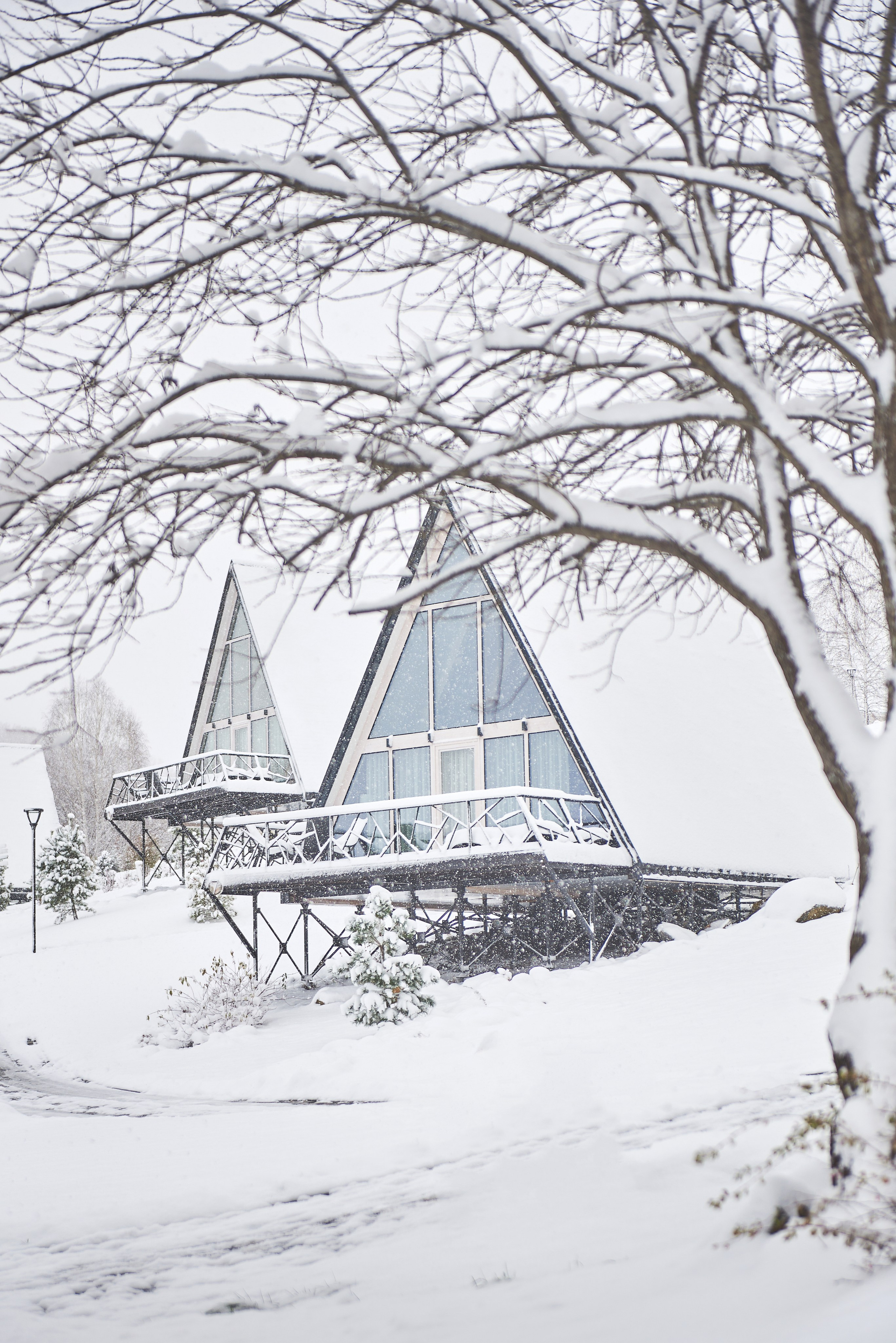 Портфолио. Rey Stanislav — репортажный и рекламный фотограф в Новокузнецке