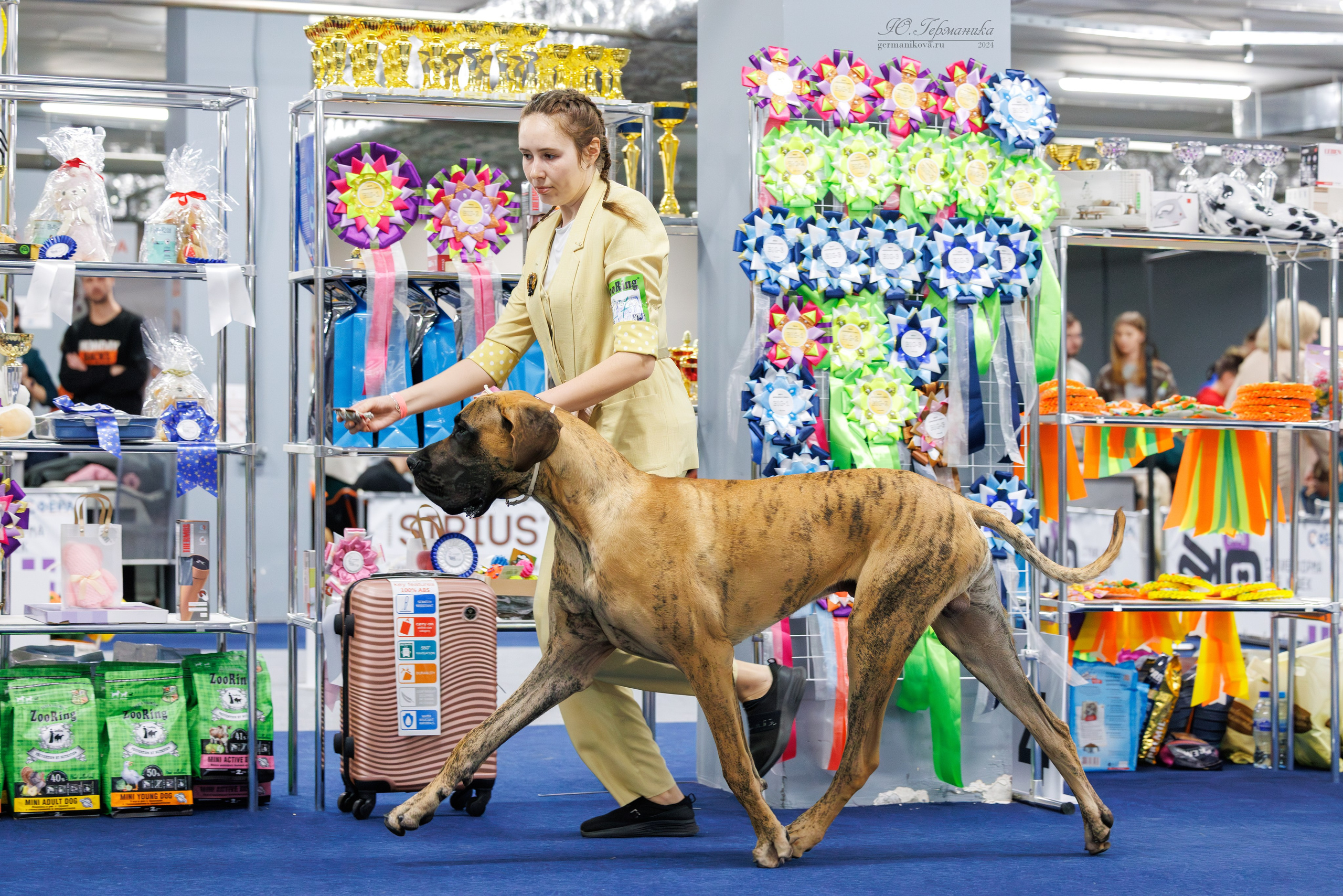 Сфера 06.04.2025. Фотограф-анималист Юлия Германика