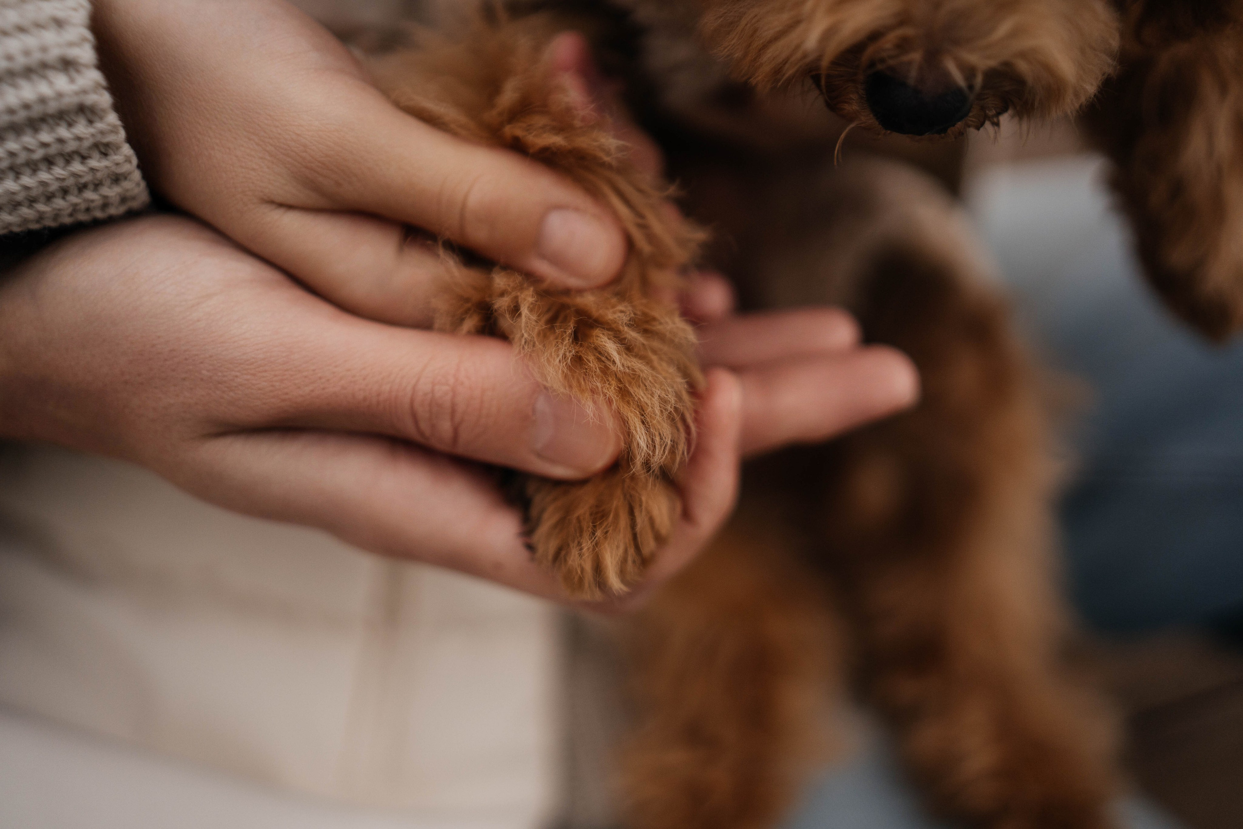 Рада и ее команда). Https://instagram.com/ana.stasia.n