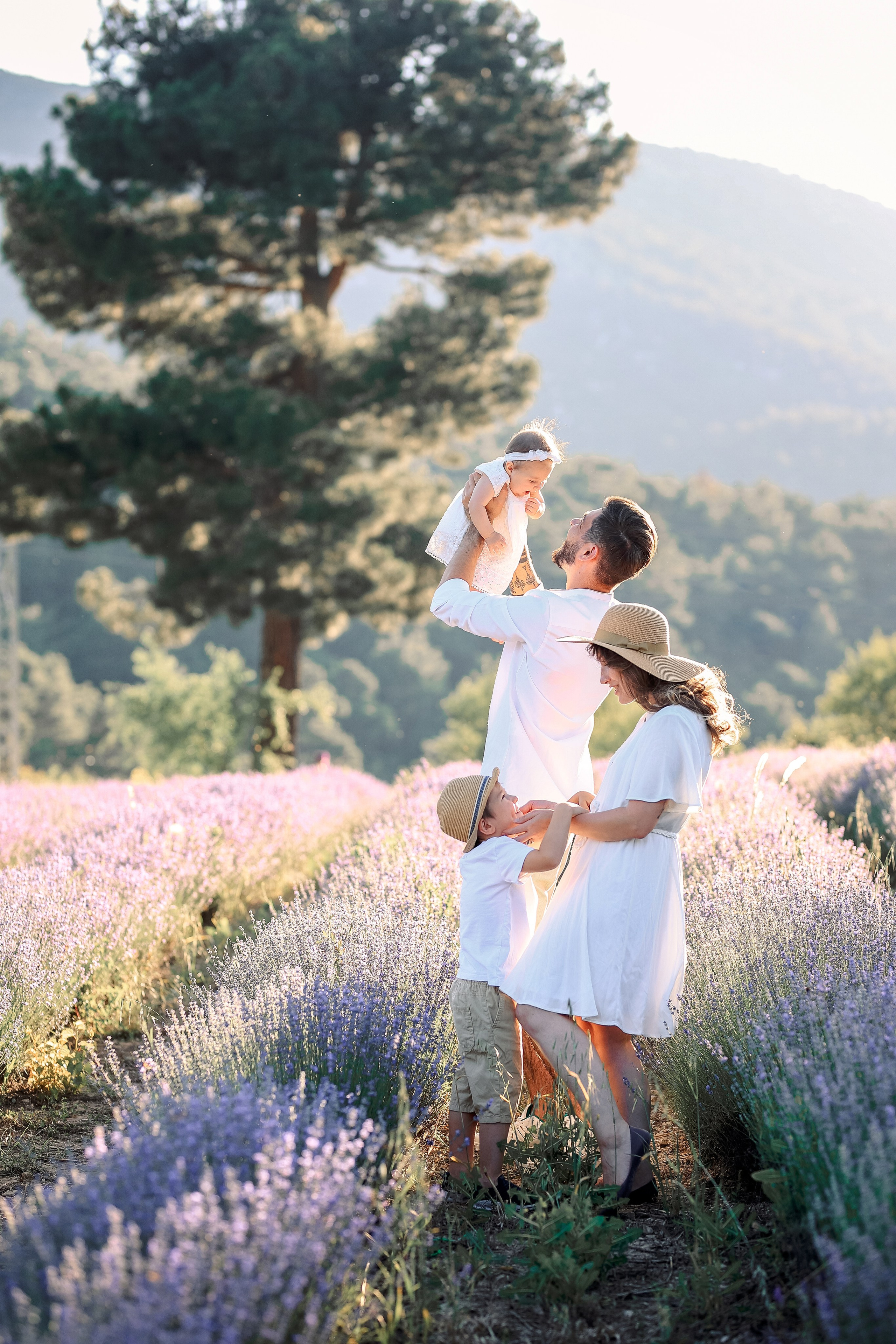 Lavender in Antalya