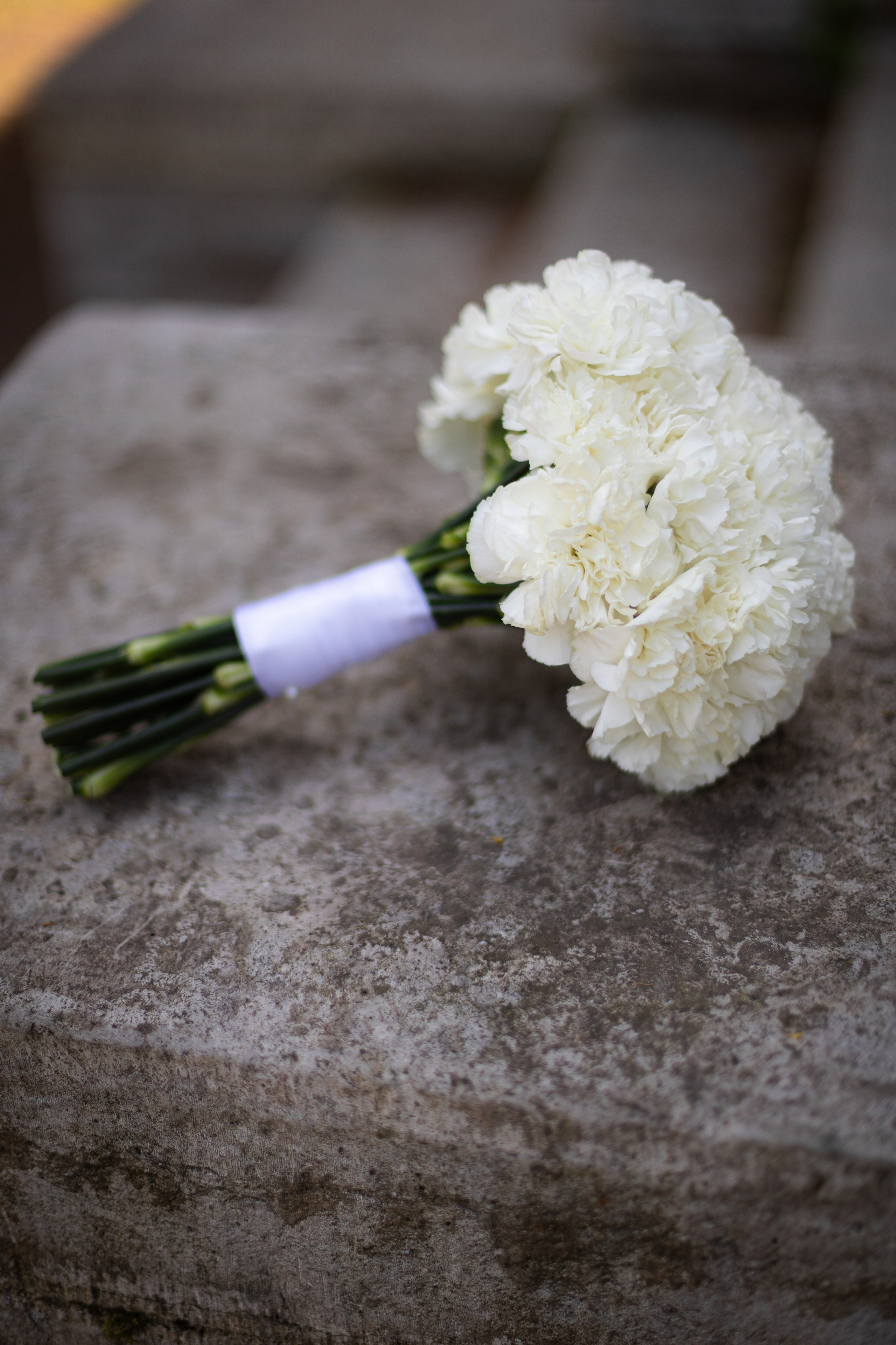 Александра и Артемий. Ваш фотограф — Александра Андрущенко