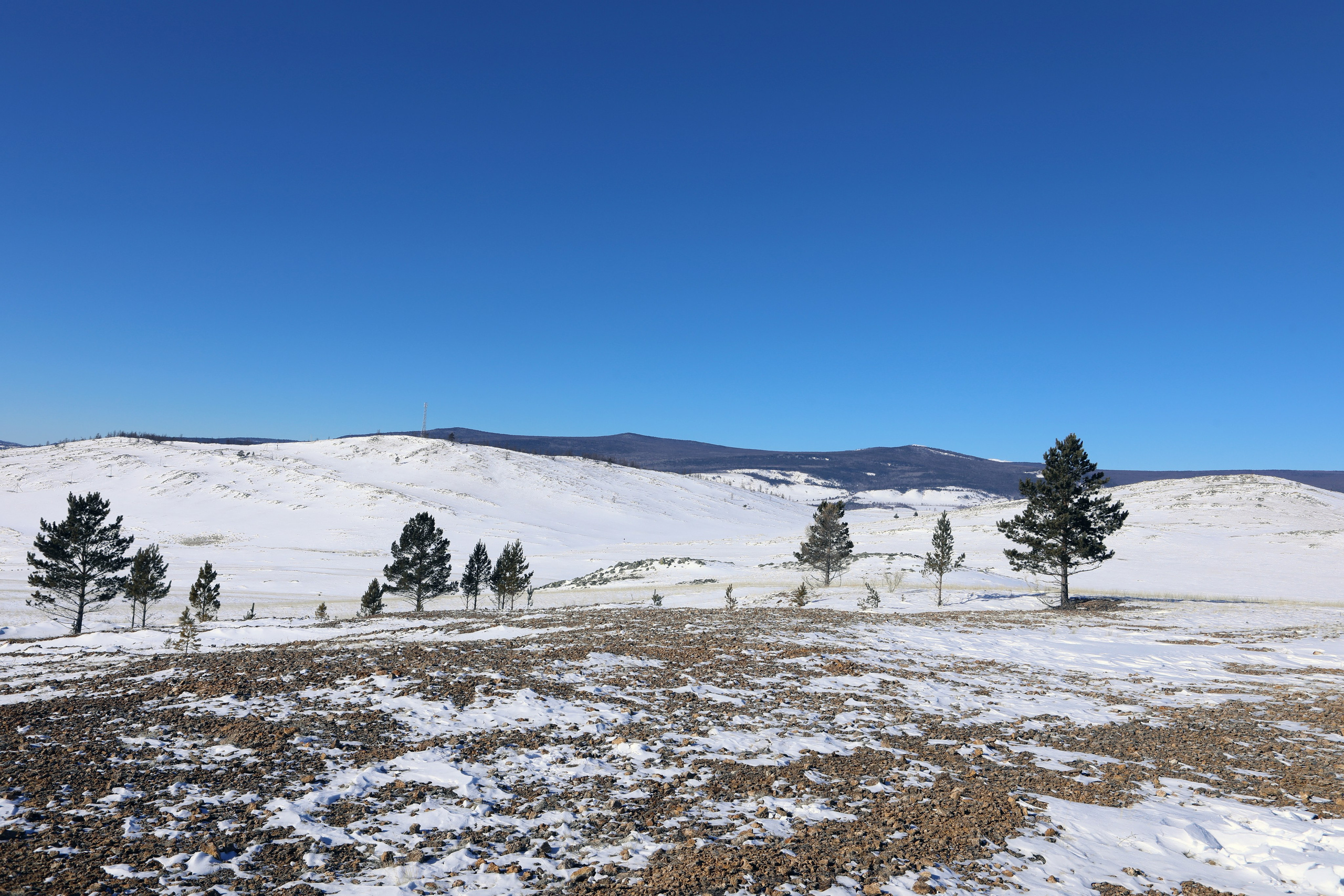 Интерьерные фотокартины. Фотограф Наталья Туева FineArt съёмка