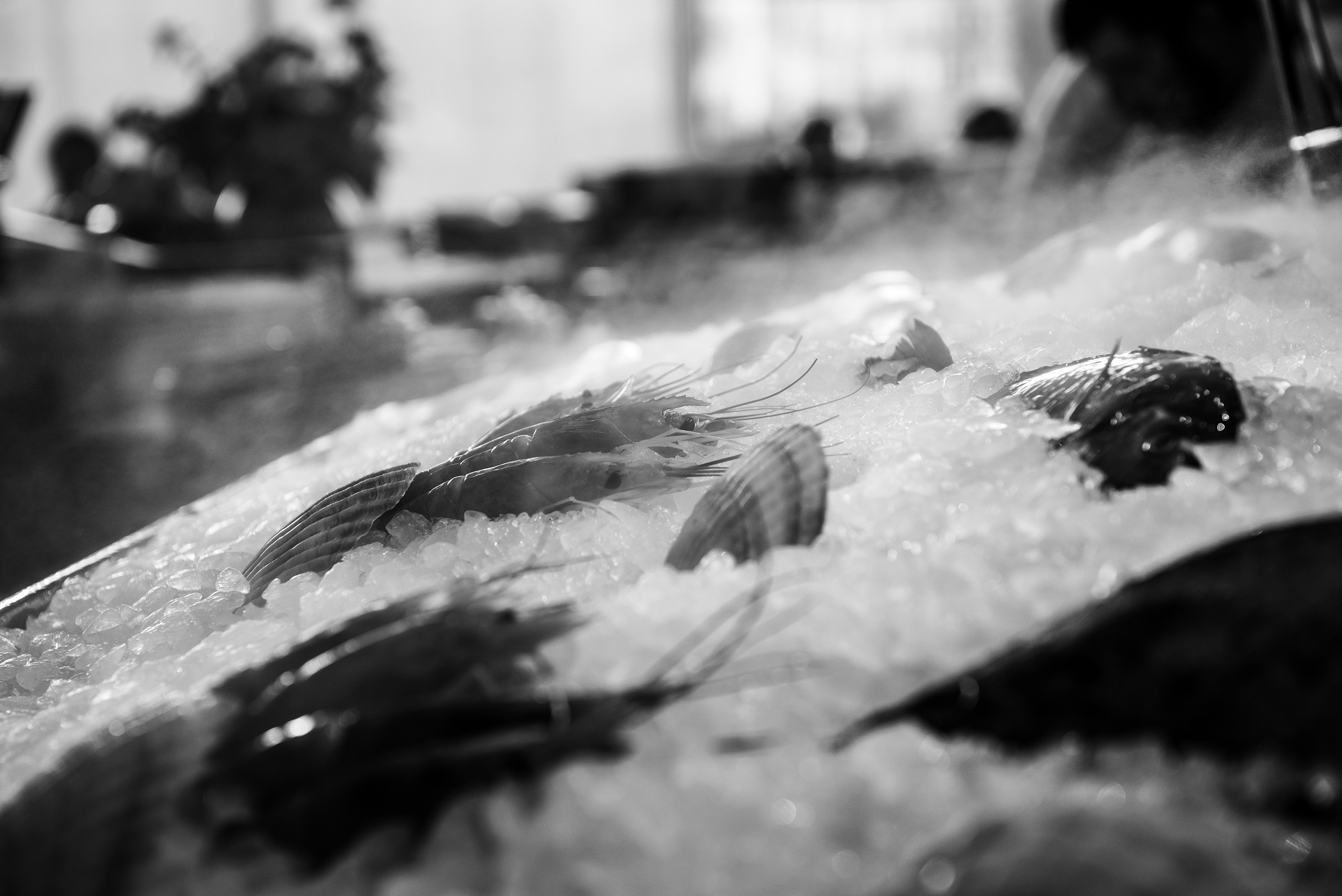 Усадьба Третьякова/ ресторан Аврора. Фотограф, визажист. Москва