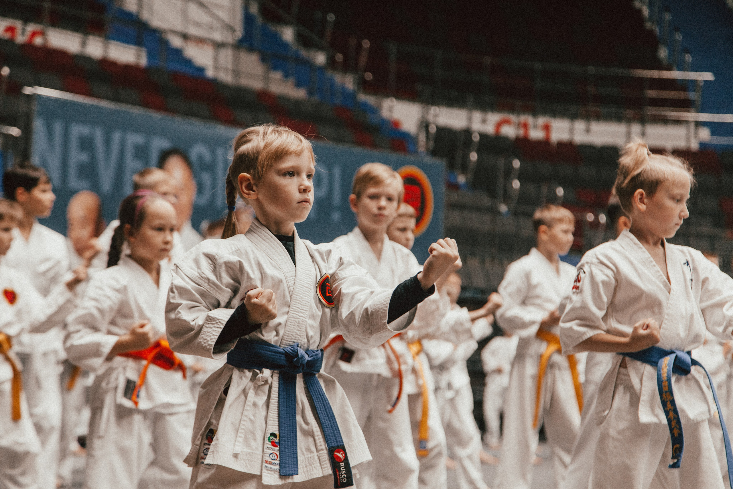 Международный сбор по каратэ в СКК «Сибур Арена». Репортажный фотограф во Всеволожске и Санкт-Петербурге Владимир Капустин