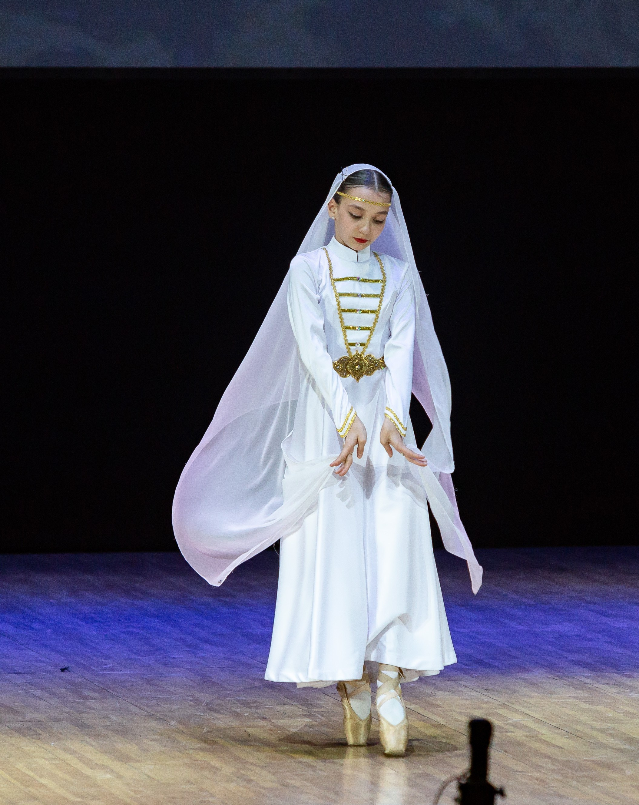 Юбилейный концерт танцевального коллектива «Адыги». Репортажный фотограф в Москве