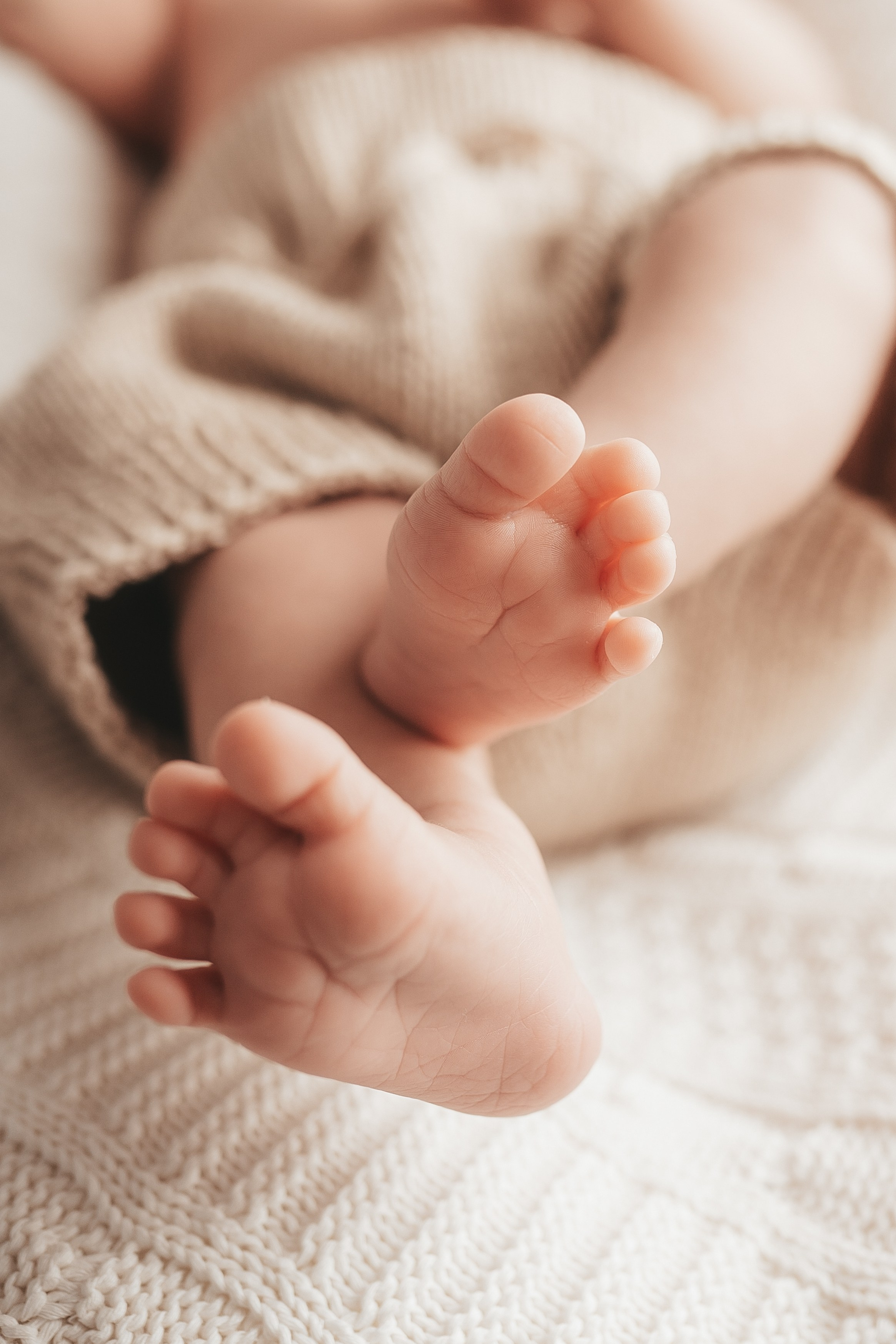 Семейная Антоний, Алексий, Артемий. Фотограф Крещения и Венчания в Москве