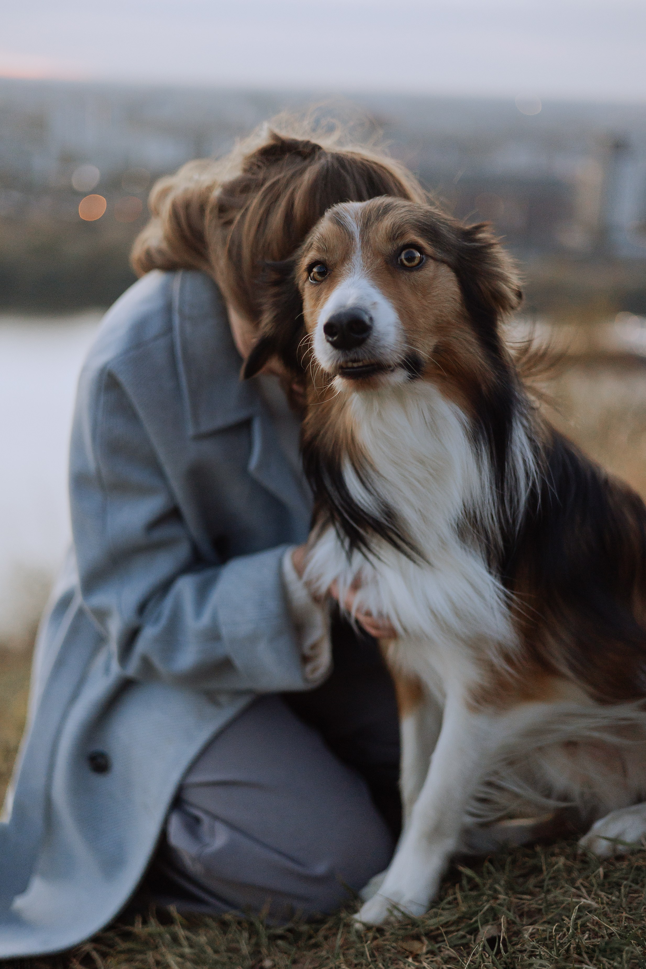 Осенняя съемка Аллы и ее спутника Джея (пакет «Чуть-чуть»). Фотограф Анималист Екатерина Справцева в Нижнем Новгороде