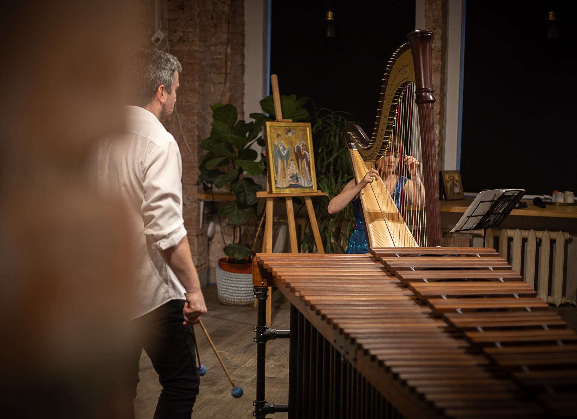 Арфа и маримба. SaGaFOTO.ru